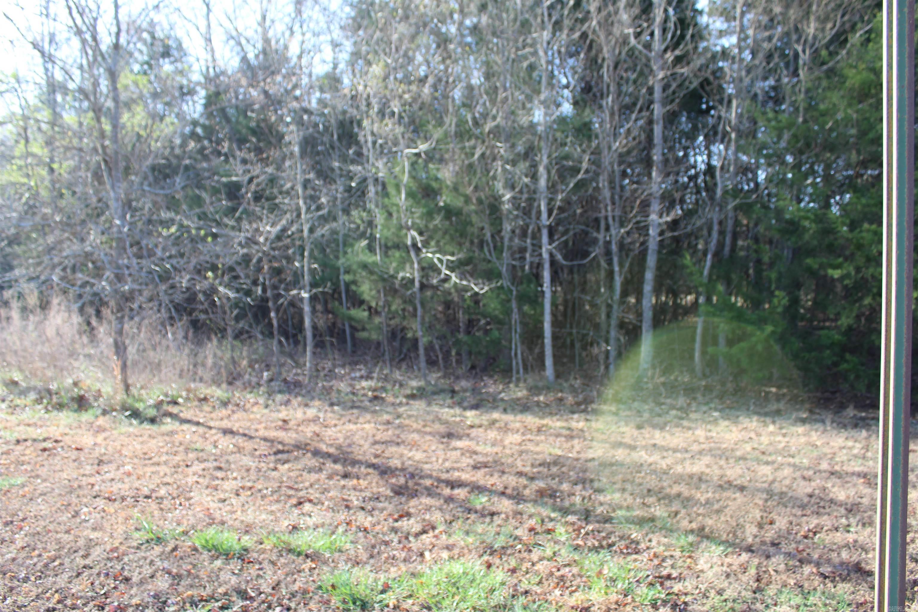 761-00013-00  Falltime  Bull Shoals, AR