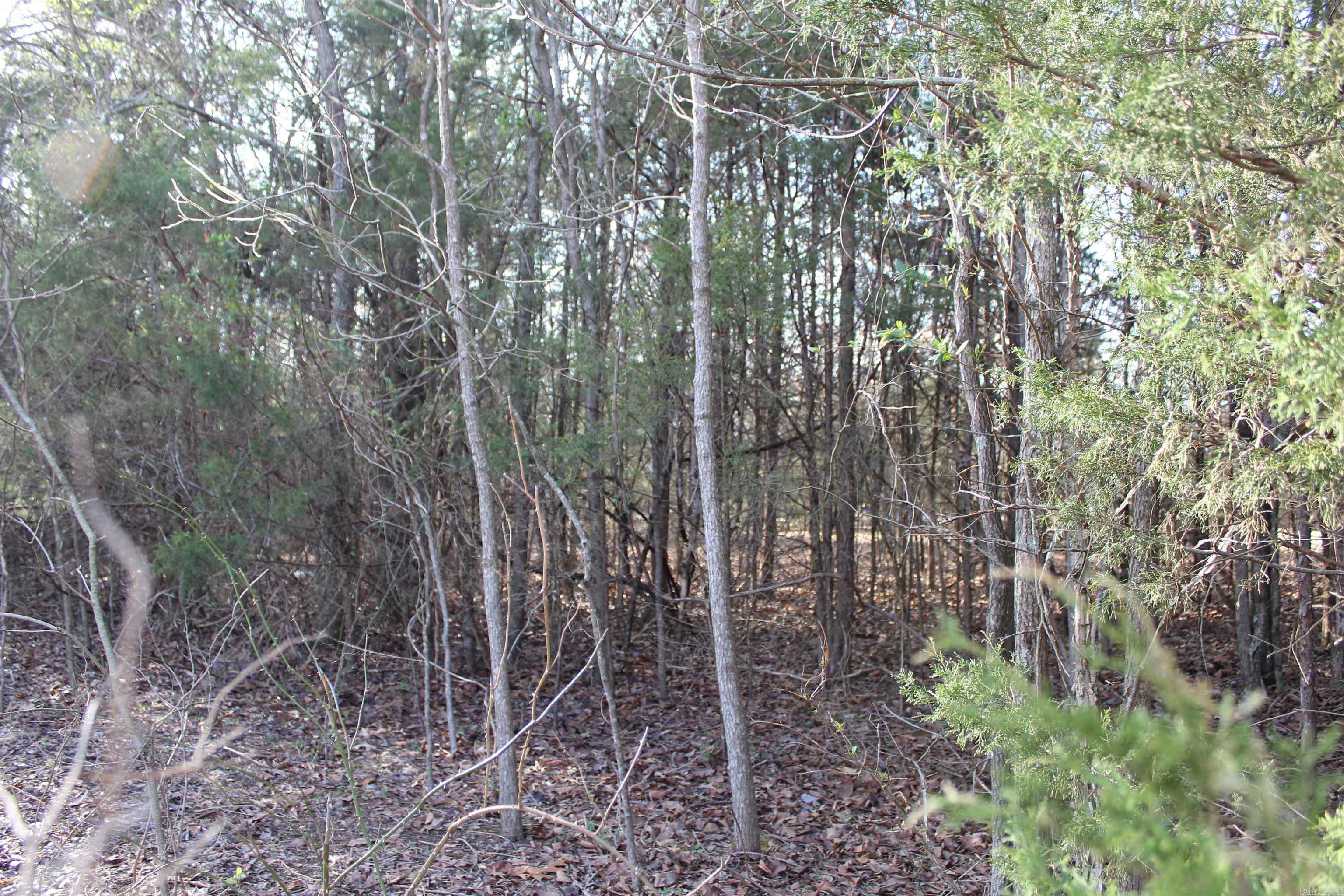 761-00013-00  Falltime  Bull Shoals, AR