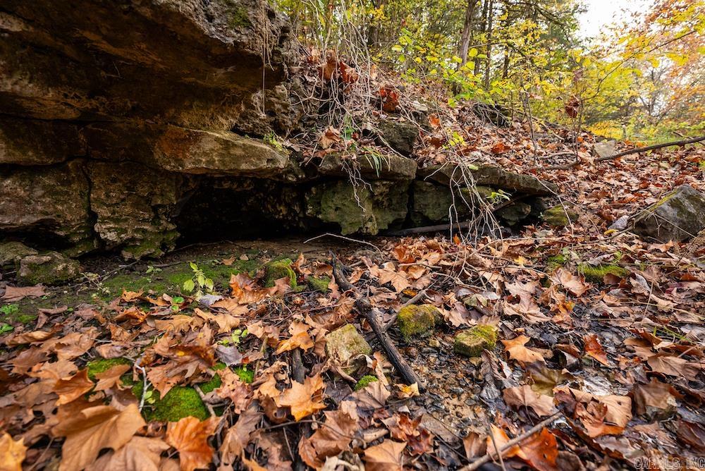   CR 663  Oak Grove, AR