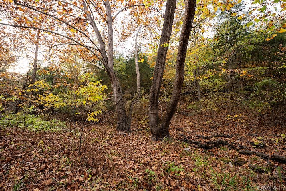   CR 663  Oak Grove, AR