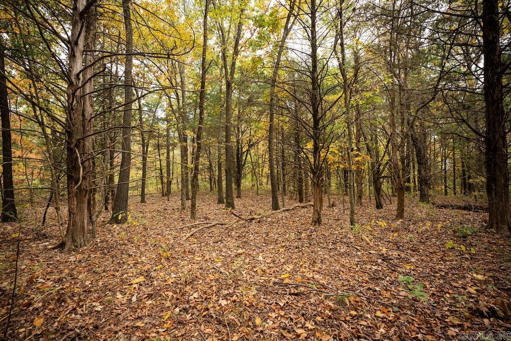   CR 663  Oak Grove, AR