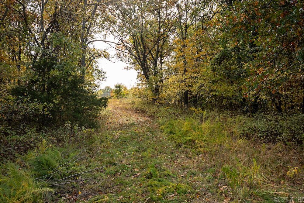 8  CR 663  Oak Grove, AR