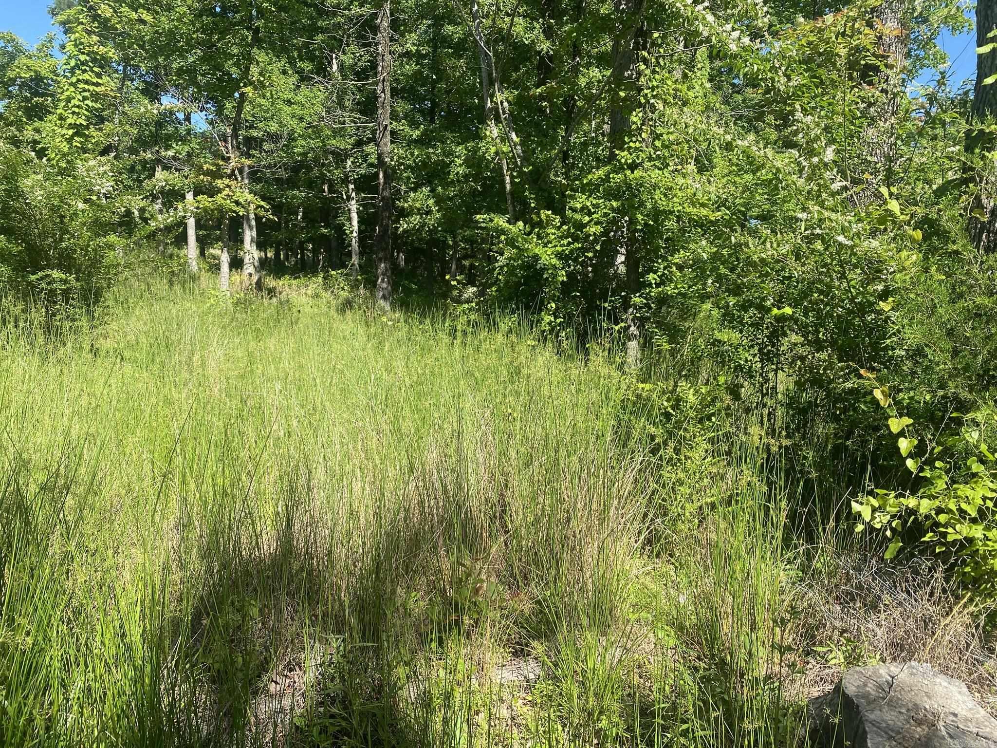 660  Prince  Mountain View, AR
