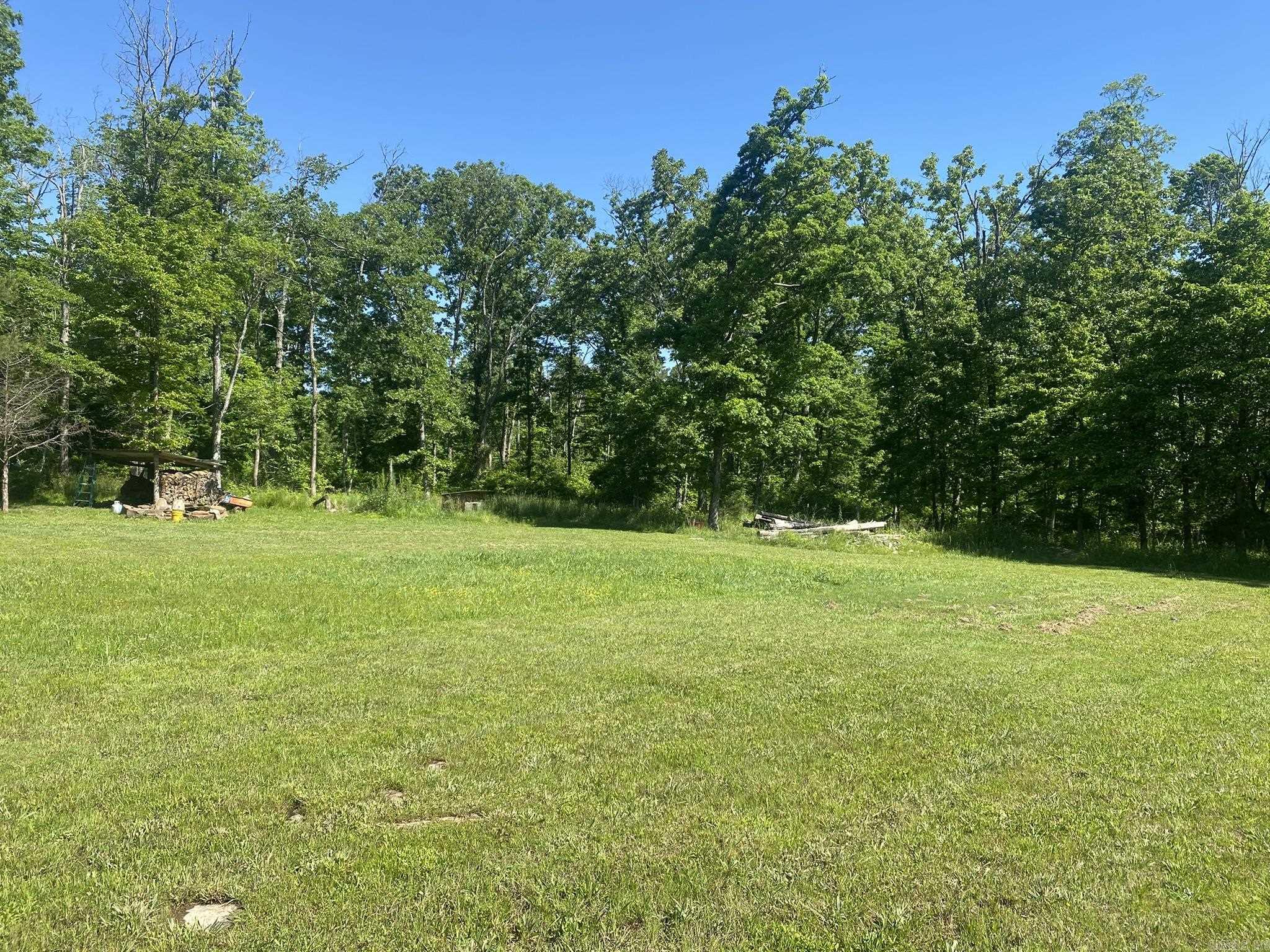 660  Prince  Mountain View, AR