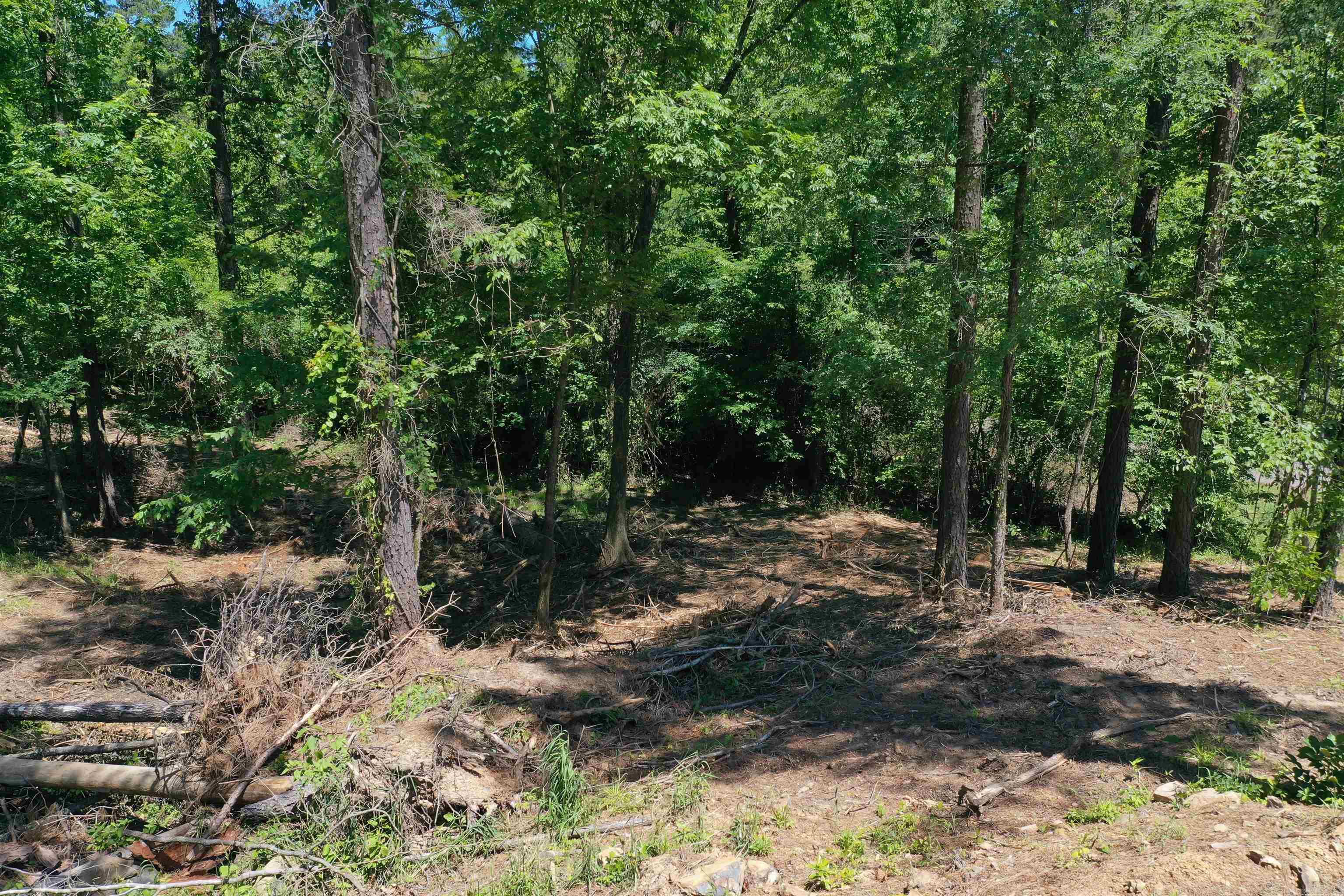 Lot 21  Kirby Landing  Kirby, AR