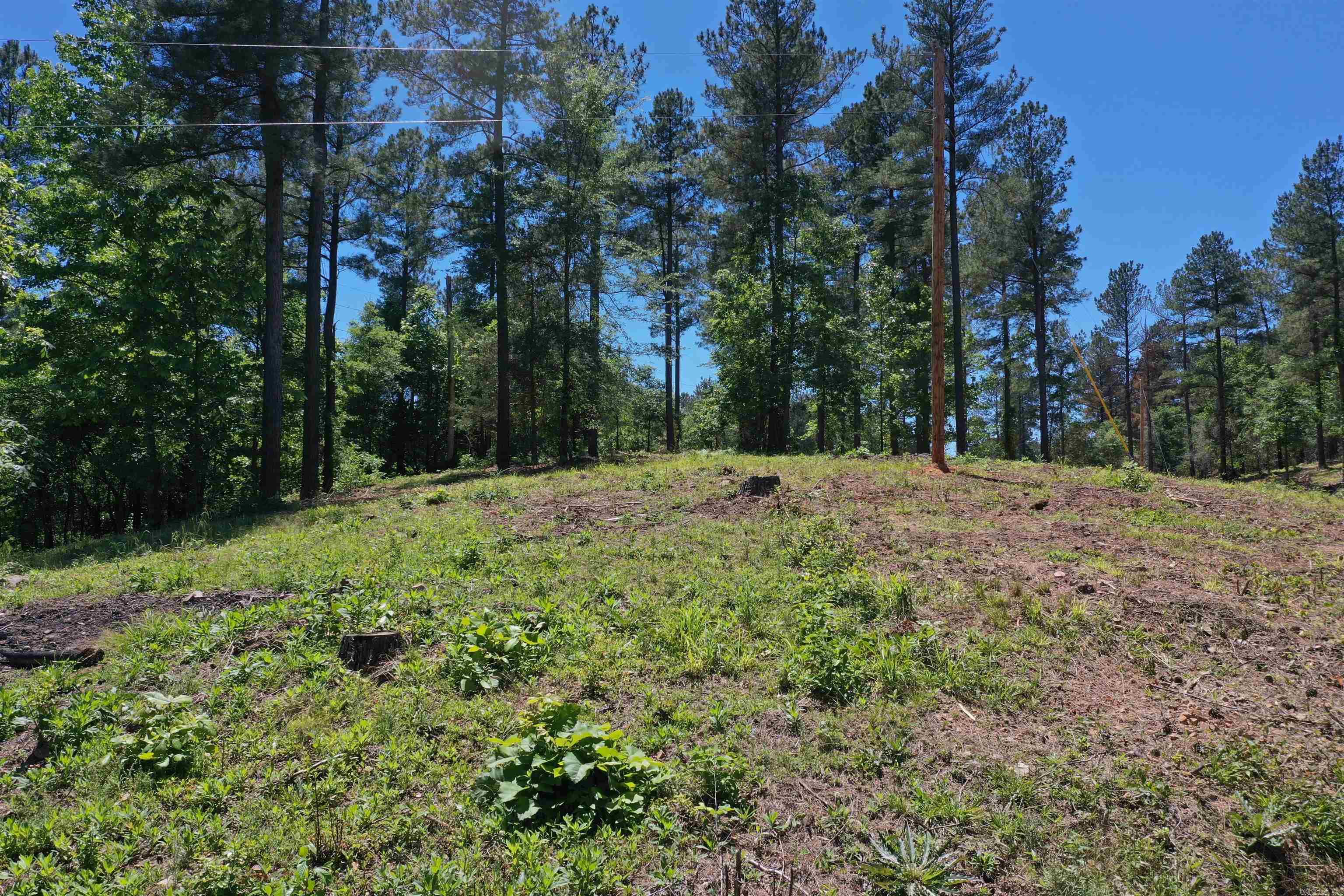 Lot 21  Kirby Landing  Kirby, AR