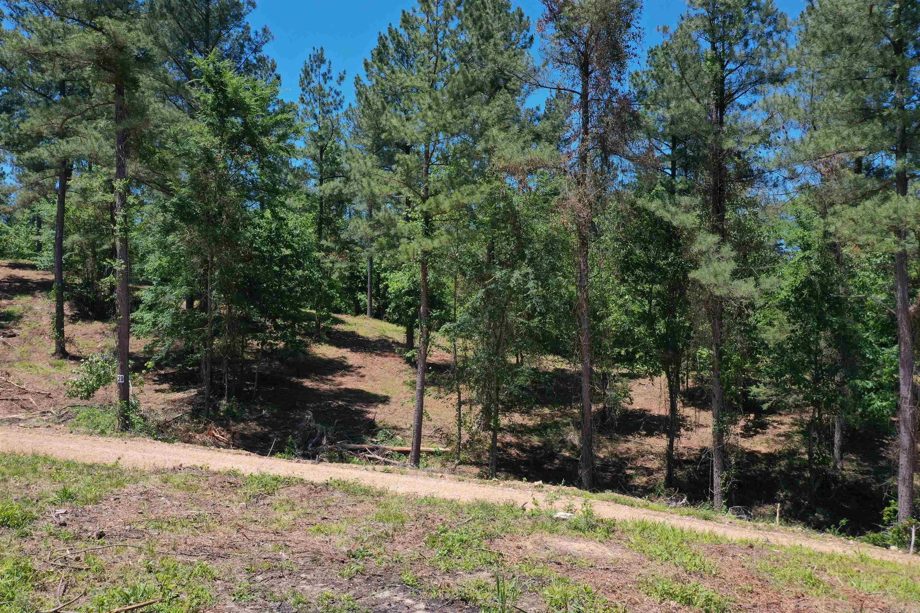 Lot 21  Kirby Landing  Kirby, AR