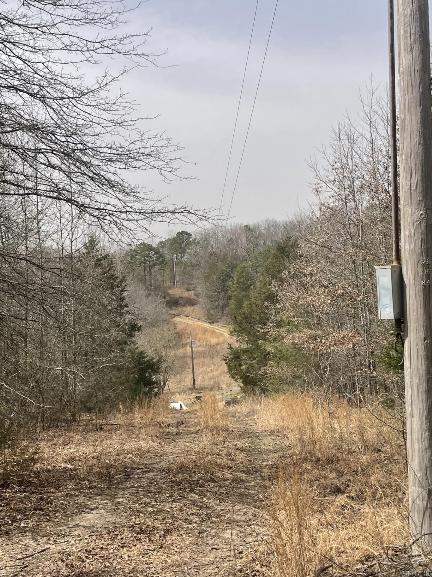 148  Sam Lane  Hatfield, AR