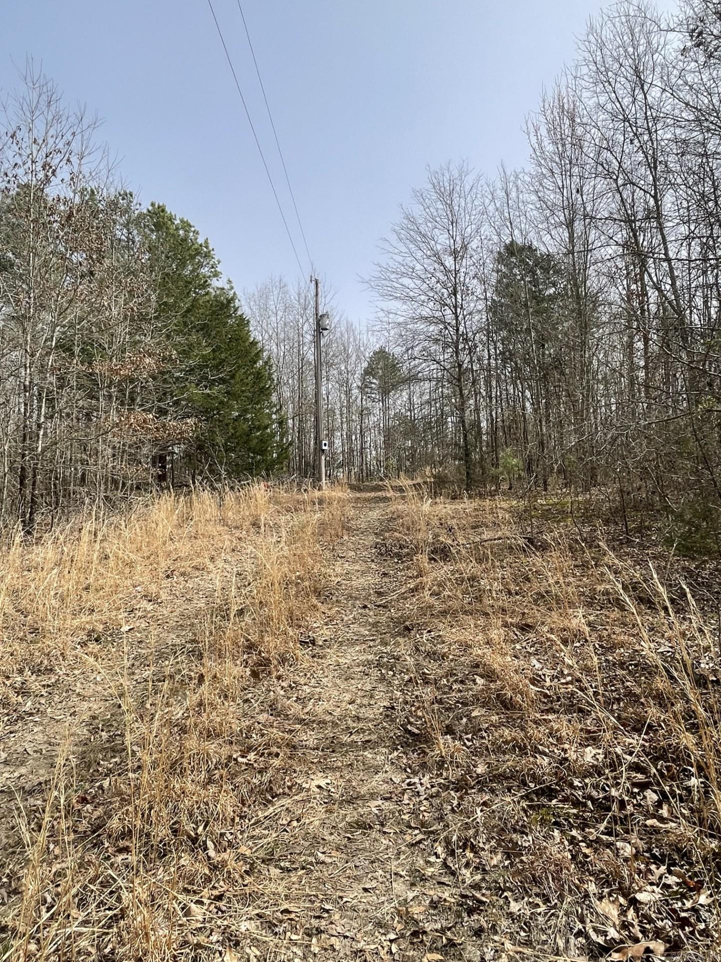 148  Sam Lane  Hatfield, AR