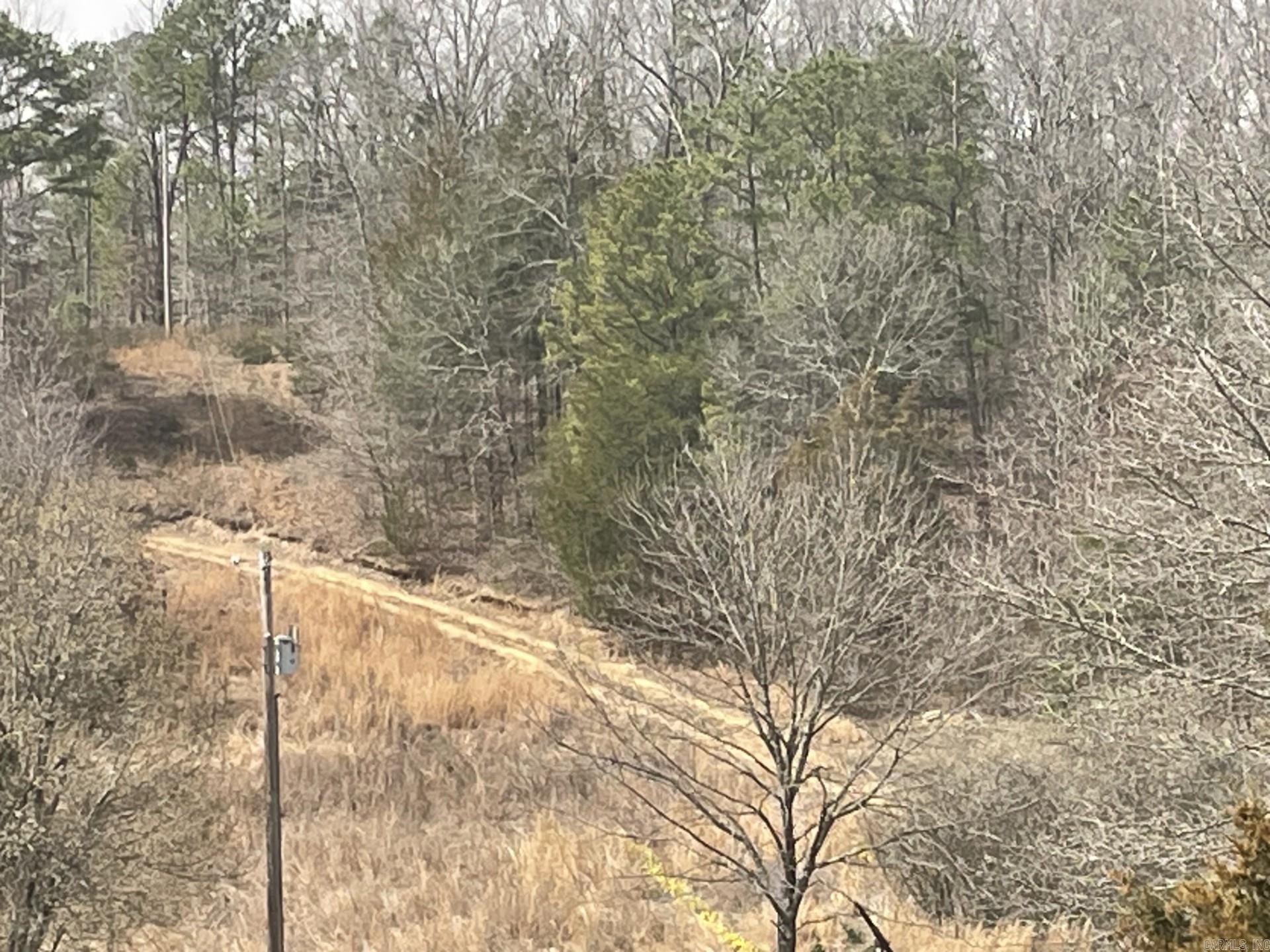 148  Sam Lane  Hatfield, AR