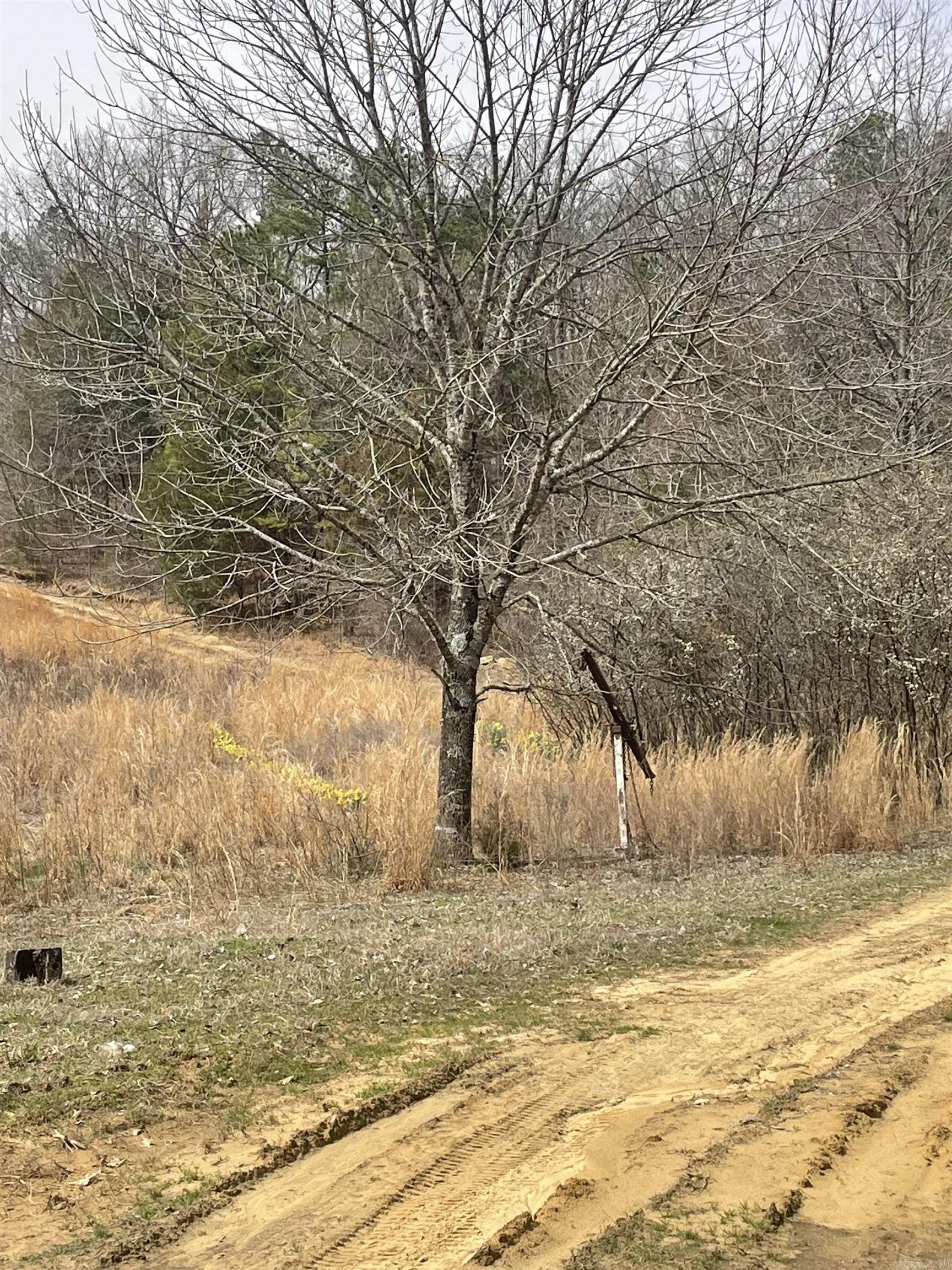 148  Sam Lane  Hatfield, AR