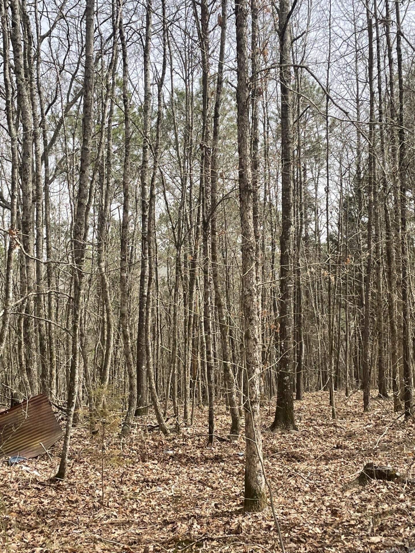 148  Sam Lane  Hatfield, AR
