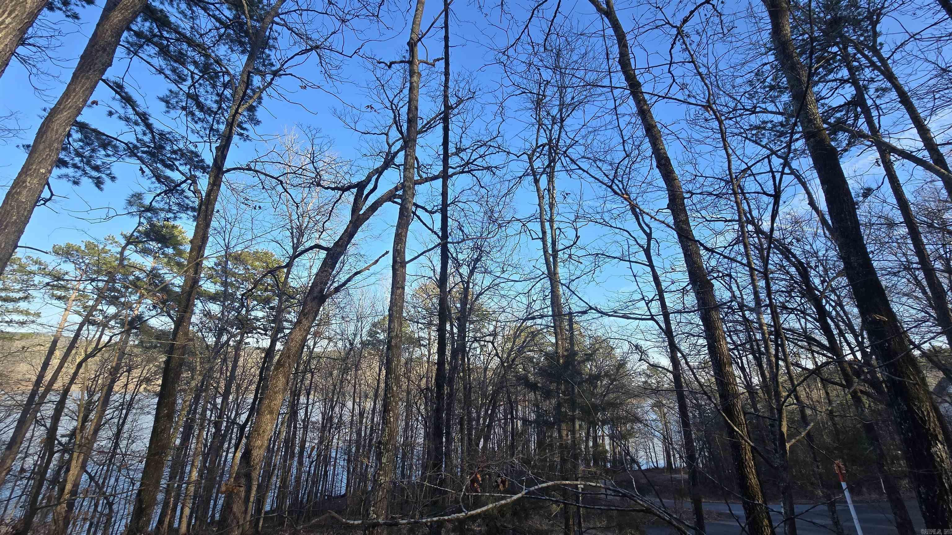 Lot 66  Lower Ridge  Edgemont, AR