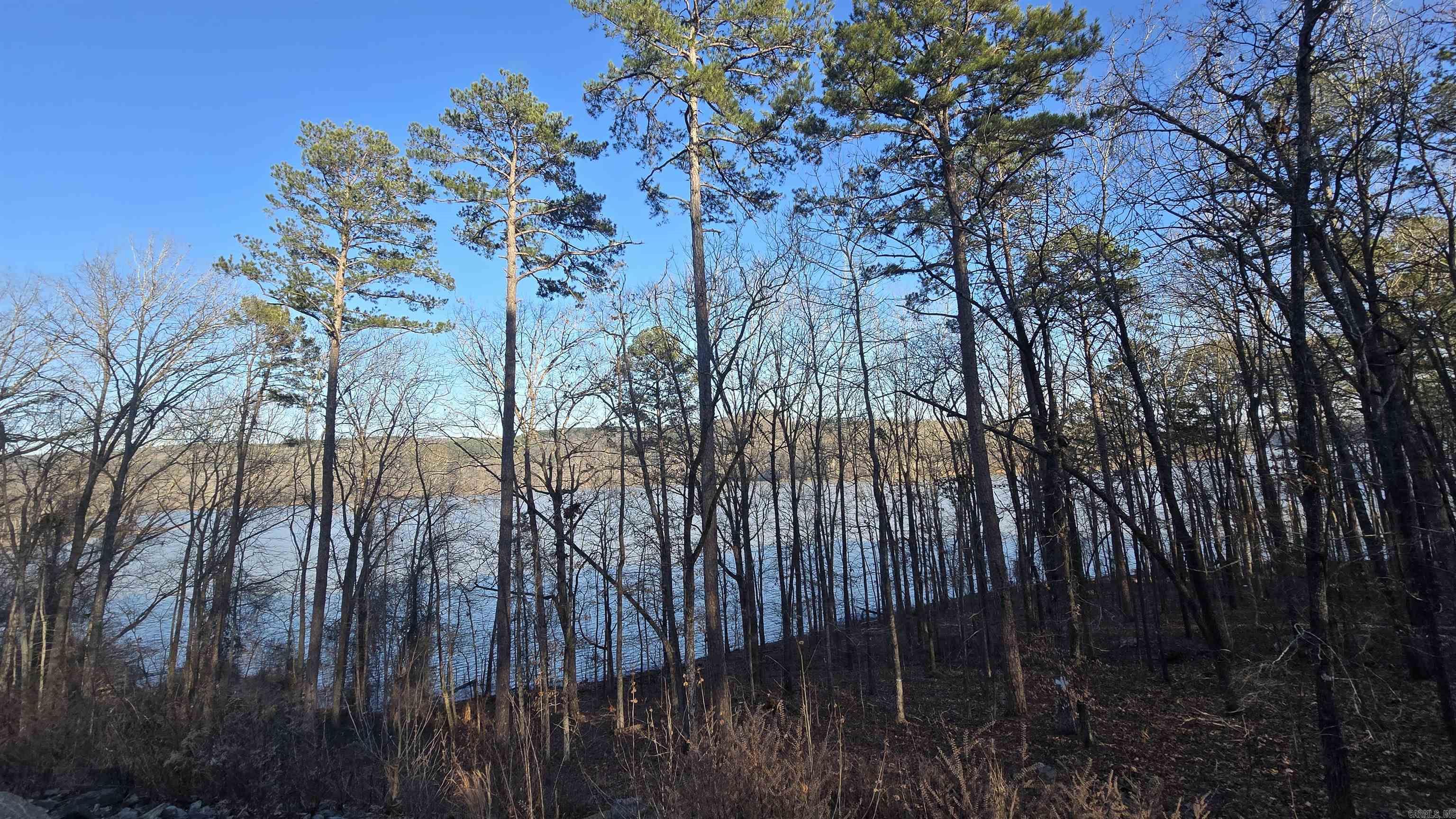 Lot 66  Lower Ridge  Edgemont, AR