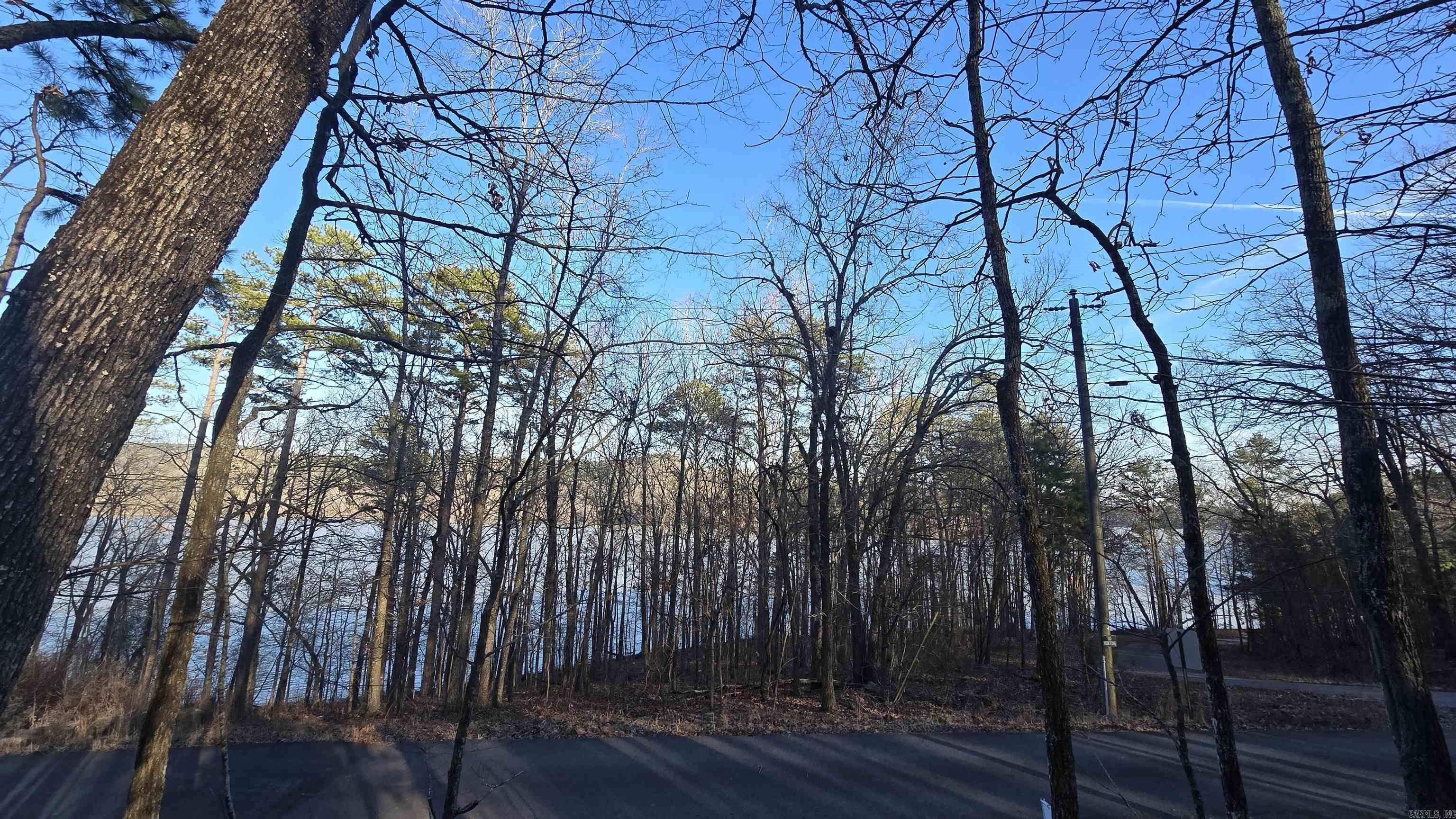 Lot 66  Lower Ridge  Edgemont, AR