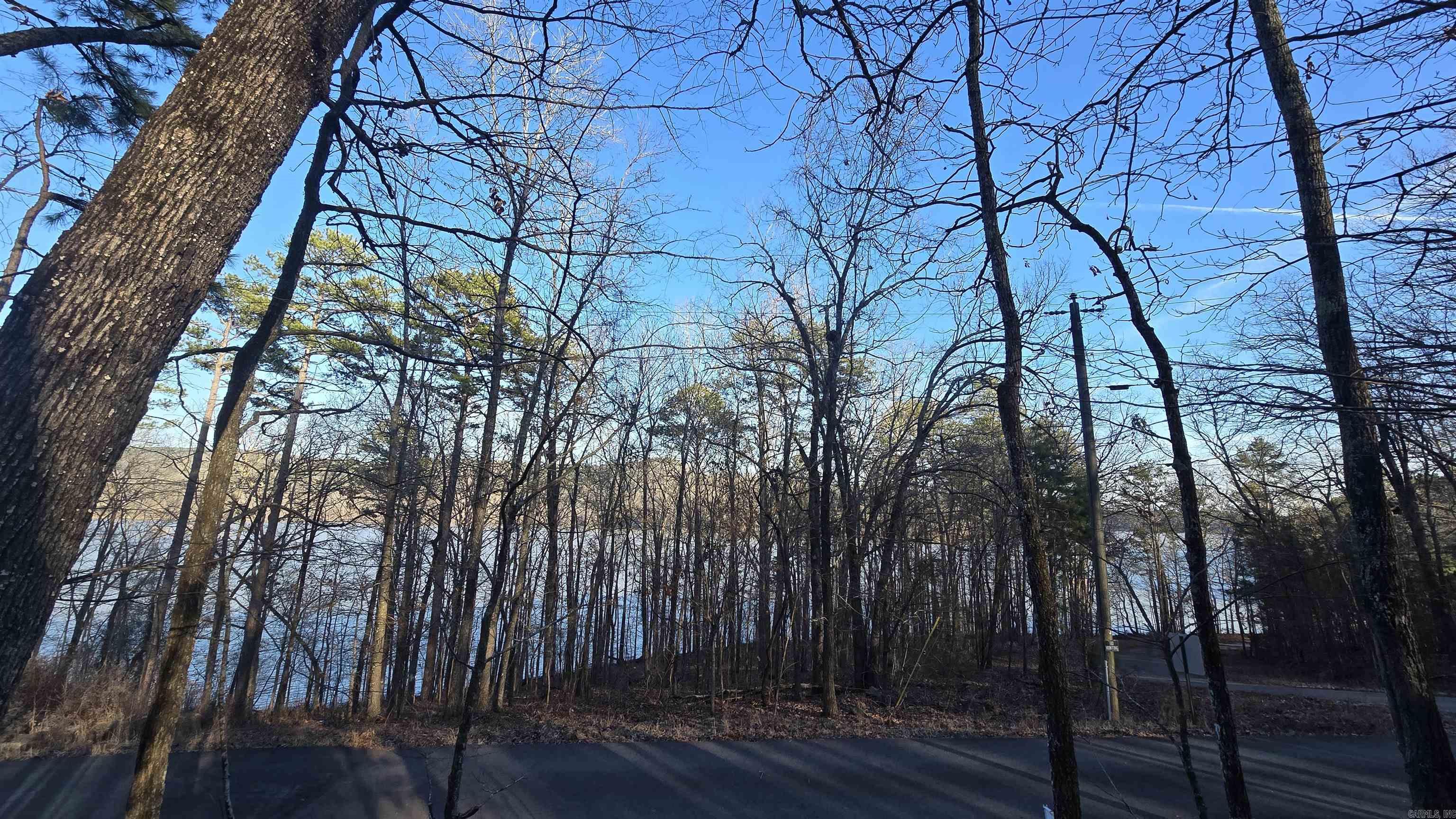Lot 66  Lower Ridge  Edgemont, AR