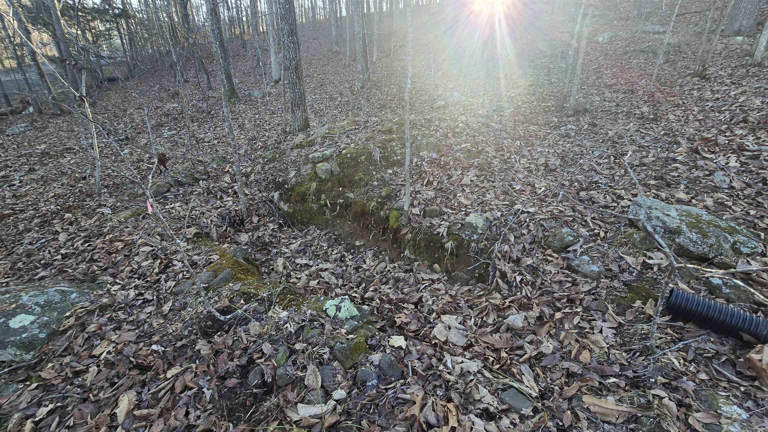 Lot 66  Lower Ridge  Edgemont, AR