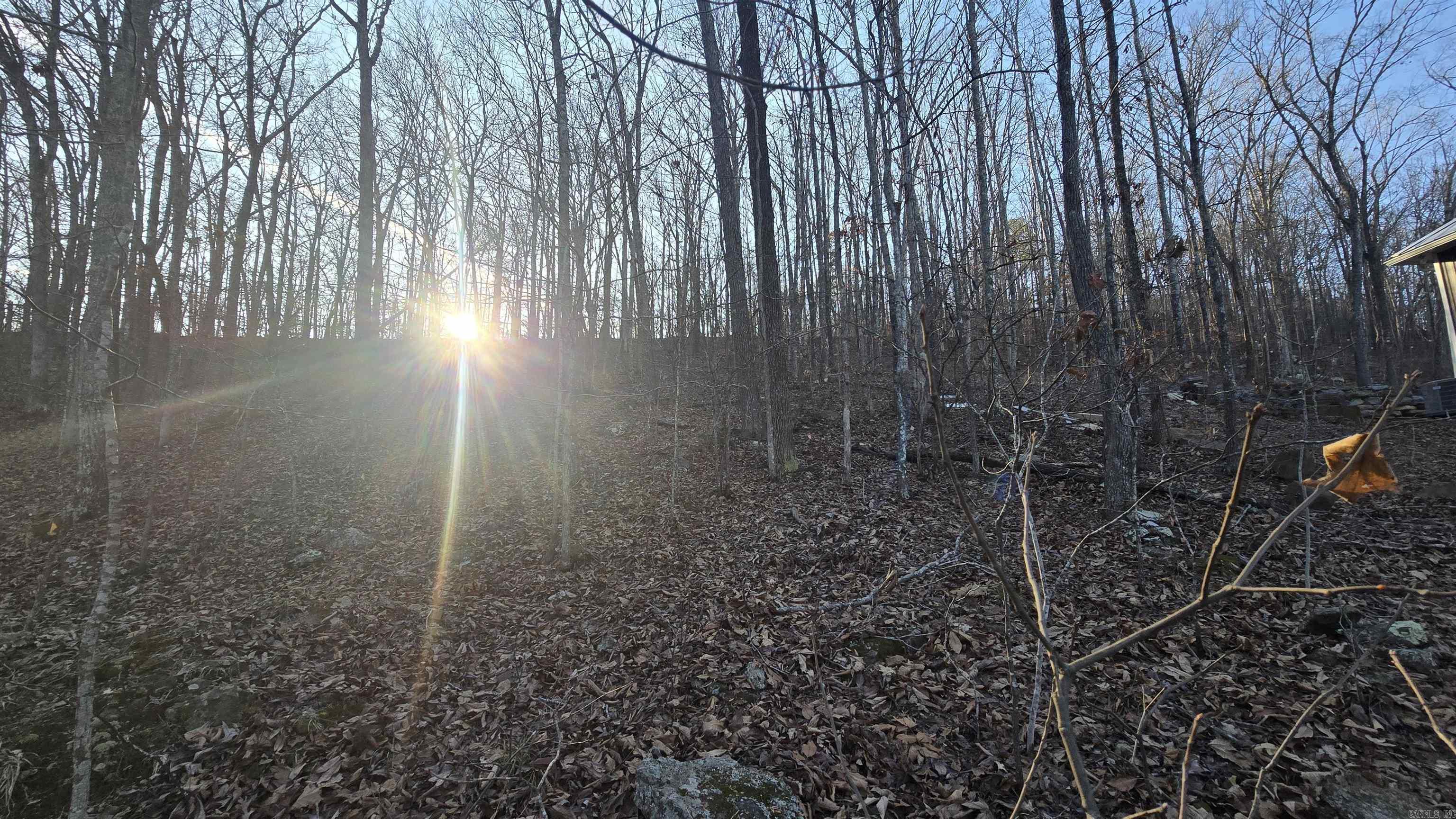 Lot 66  Lower Ridge  Edgemont, AR
