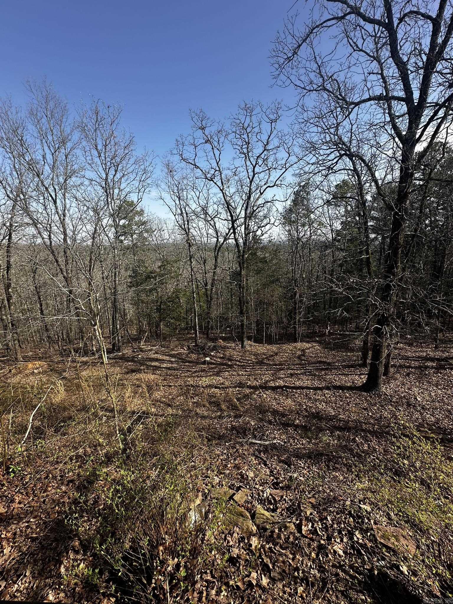 116  Red Oak  Mayflower, AR