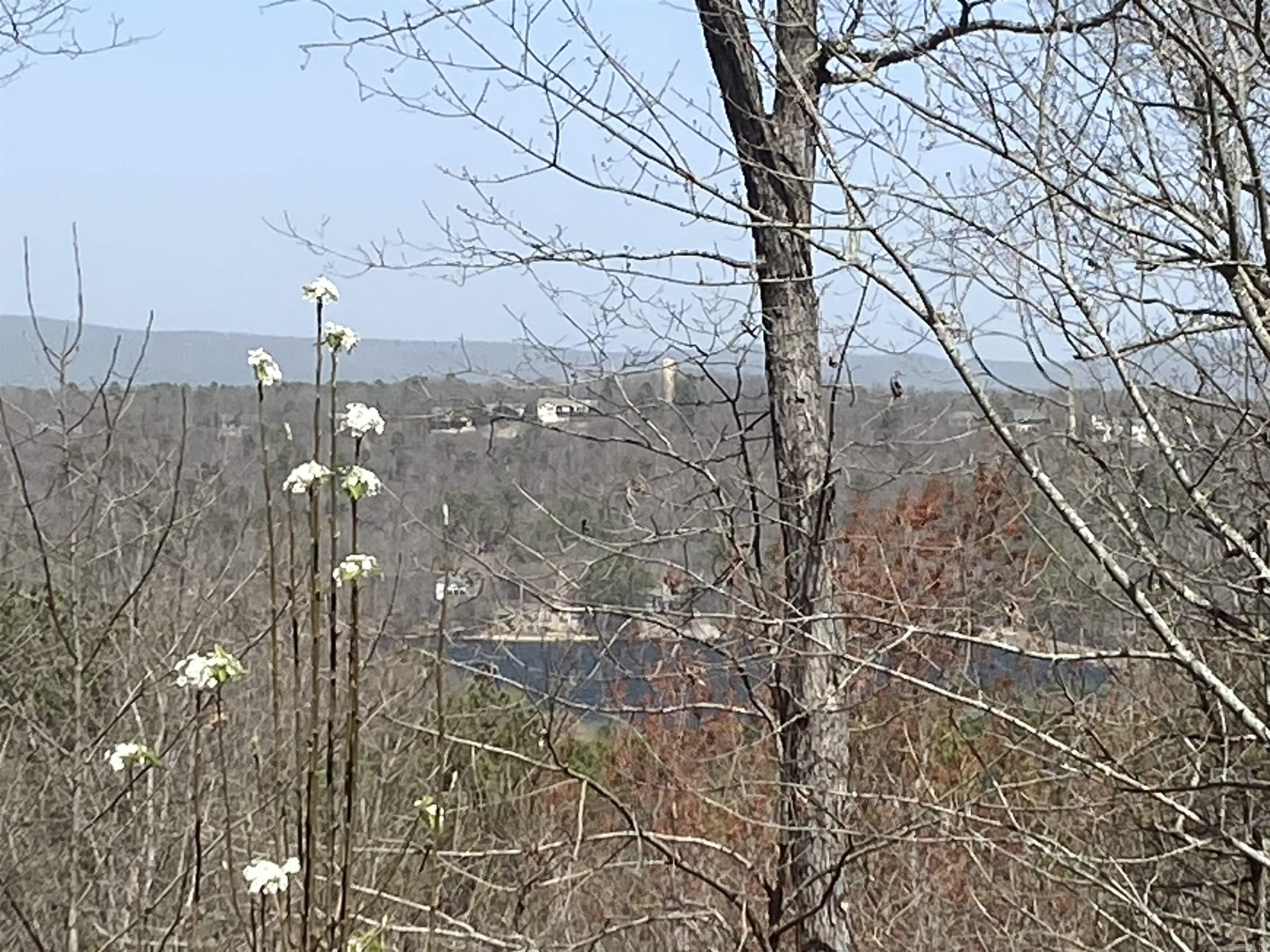 18  Alicante  Hot Springs Village, AR