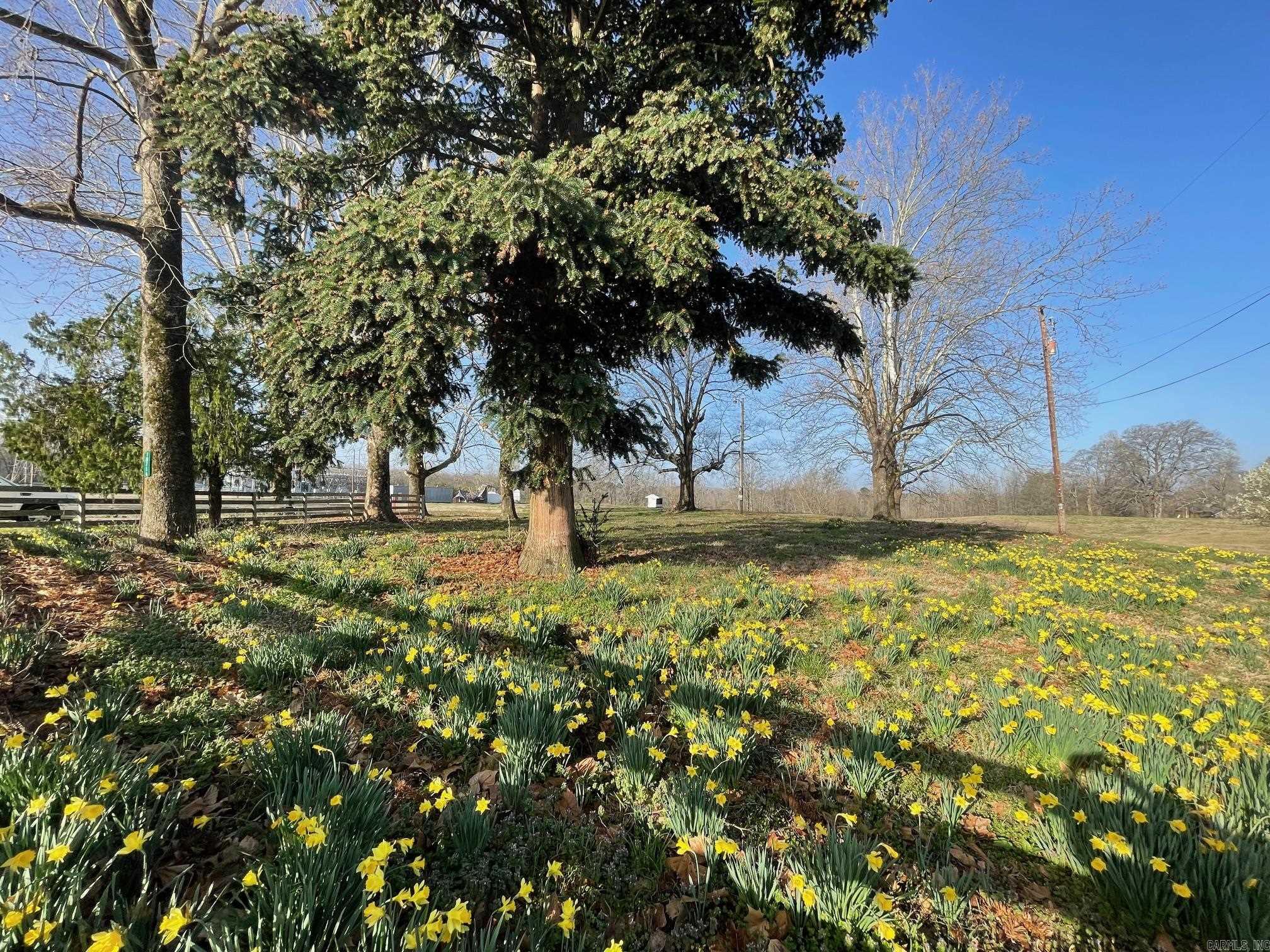 18714  Arch  Little Rock, AR