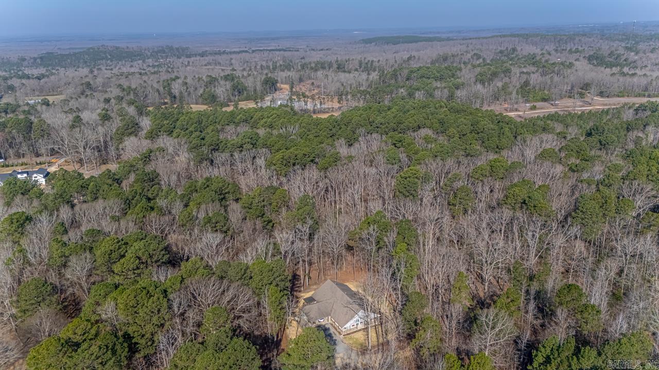 3201  ROOK RIDGE LANE  Benton, AR