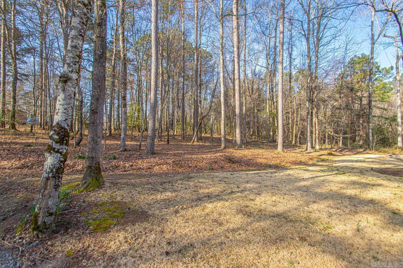 3201  ROOK RIDGE LANE  Benton, AR