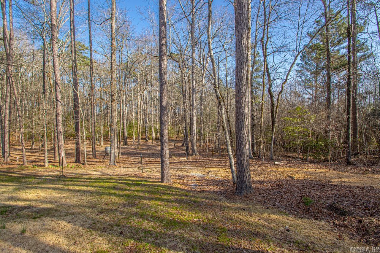 3201  ROOK RIDGE LANE  Benton, AR