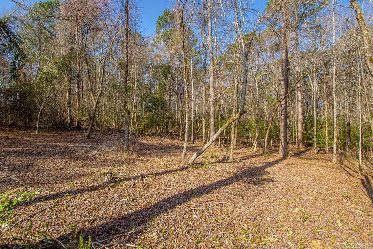 3201  ROOK RIDGE LANE  Benton, AR
