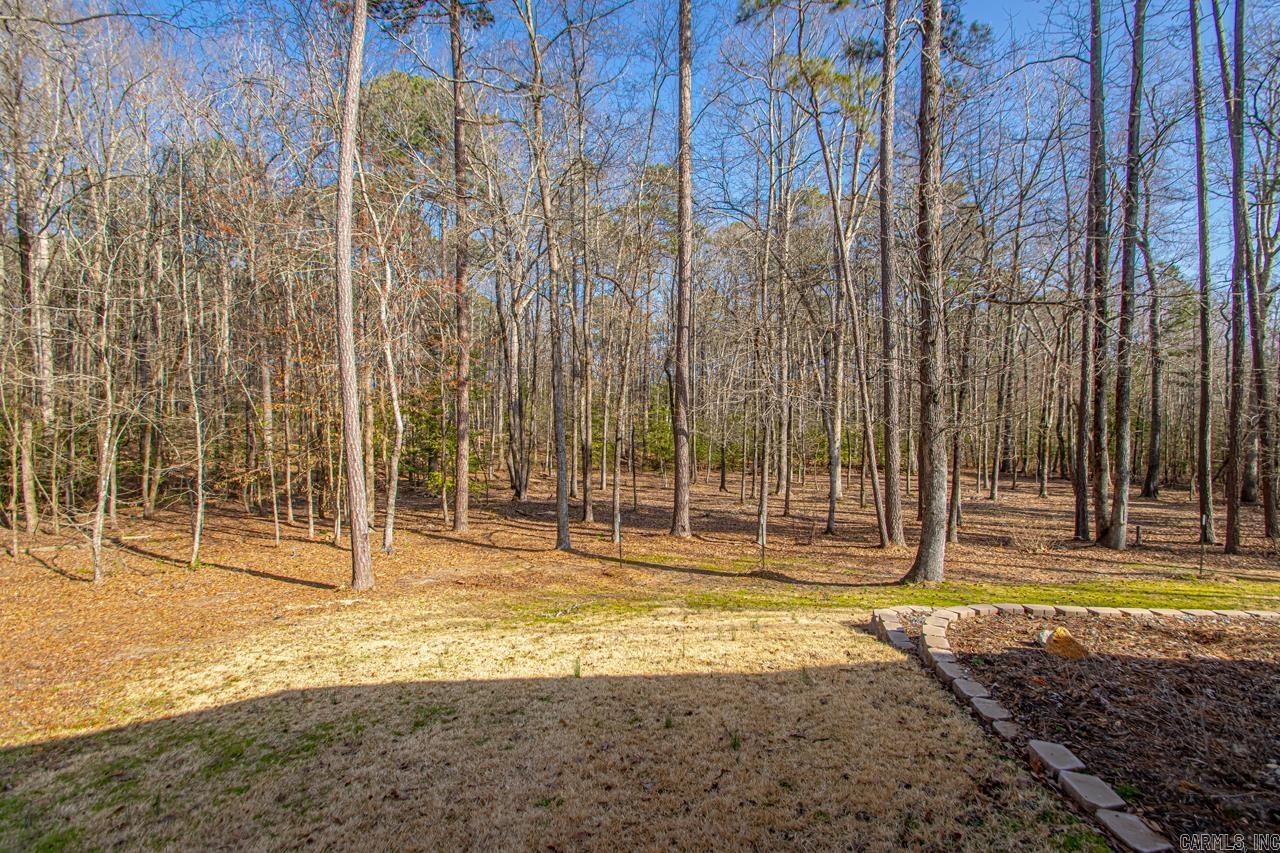 3201  ROOK RIDGE LANE  Benton, AR