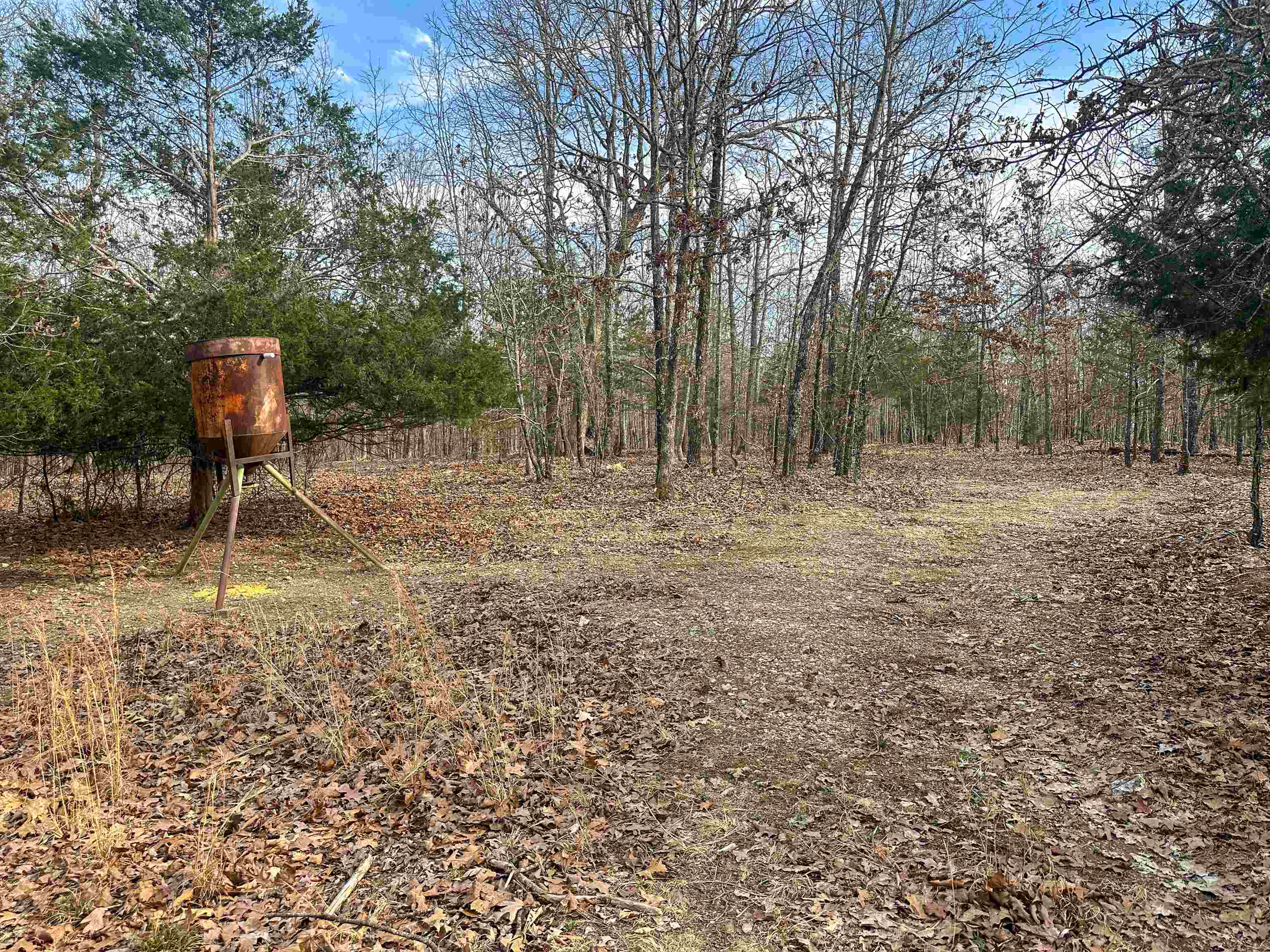 XX N Summit Ridge  Williford, AR