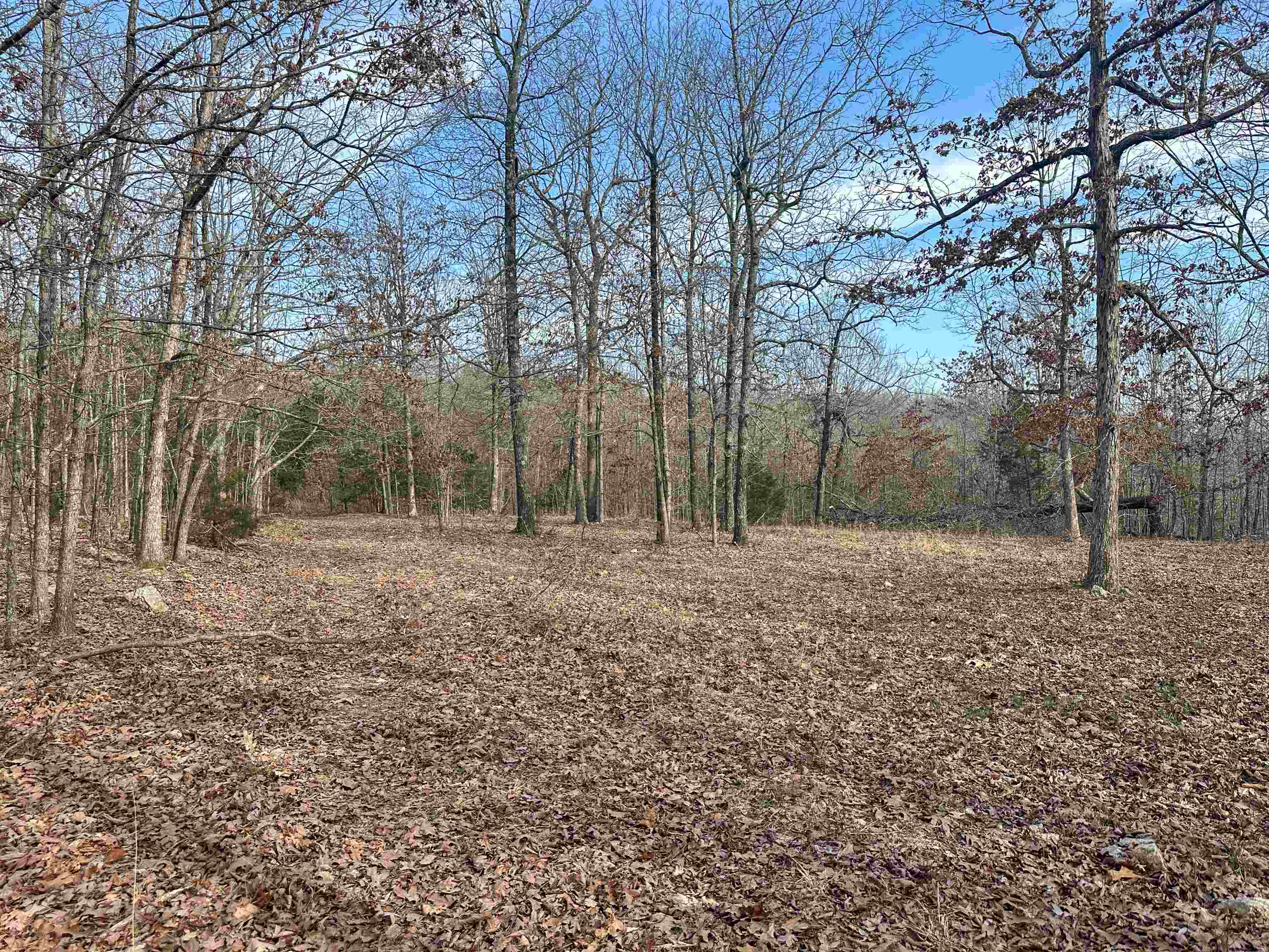 XX N Summit Ridge  Williford, AR
