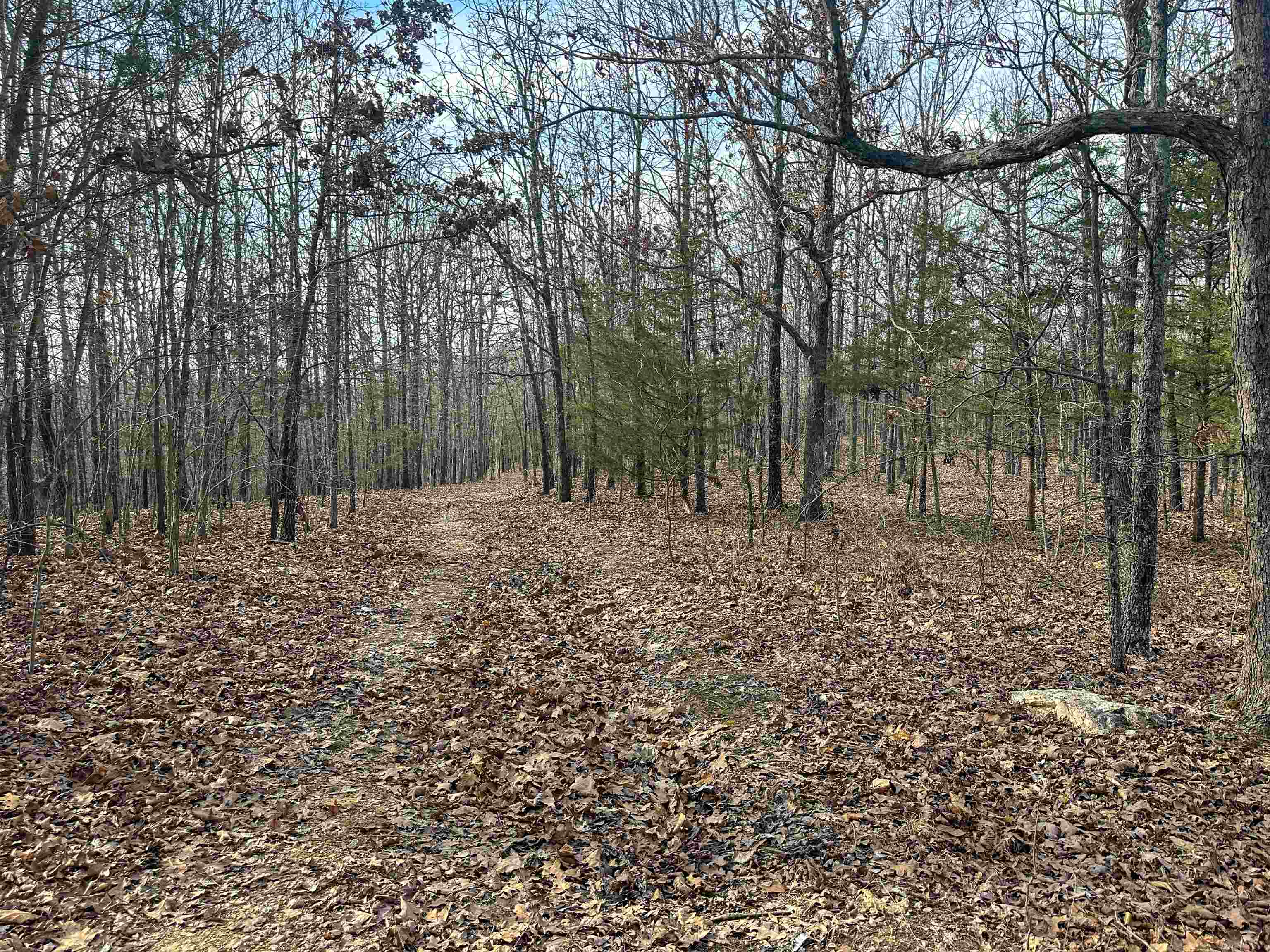 XX N Summit Ridge  Williford, AR