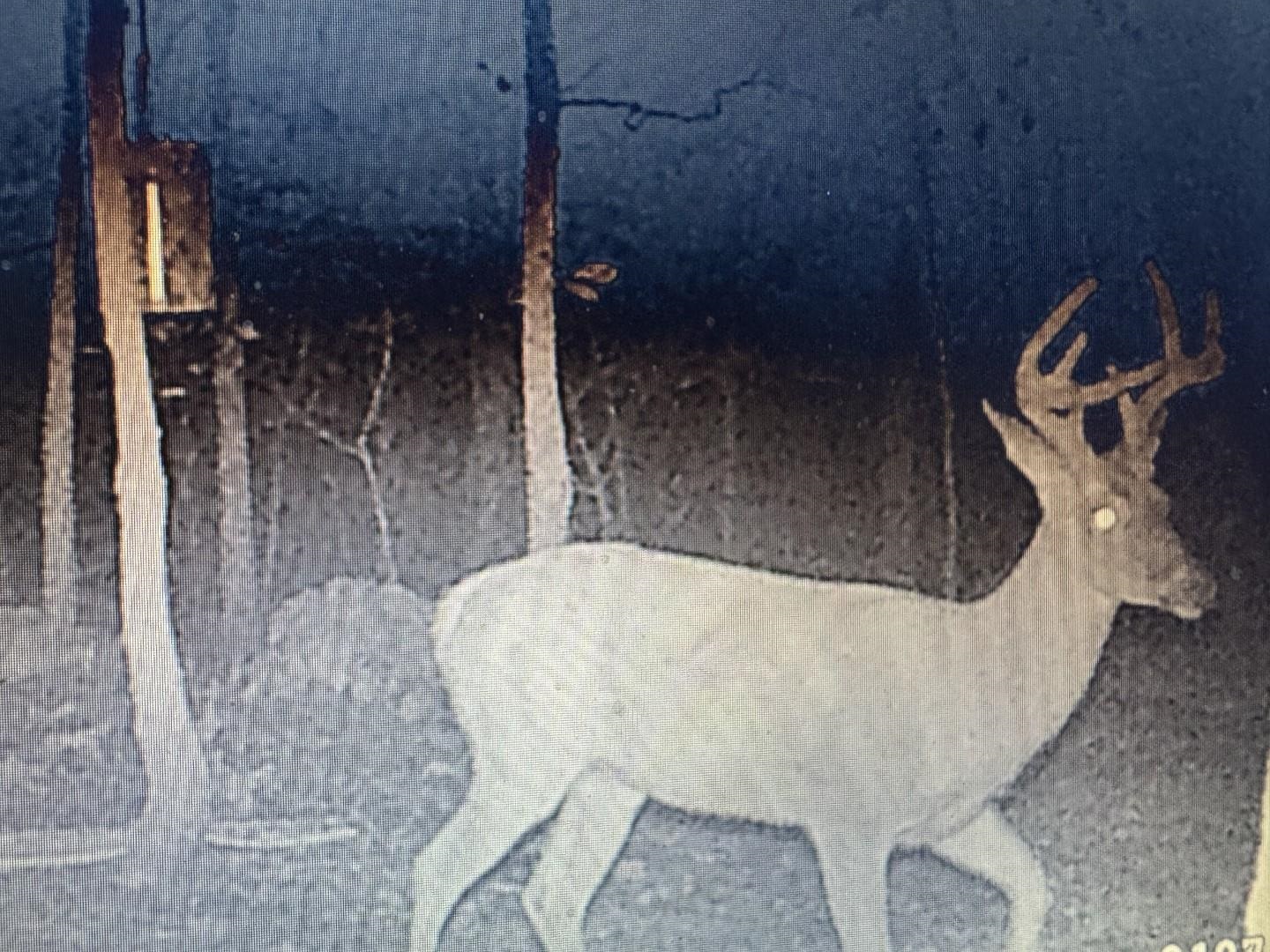 XX N Summit Ridge  Williford, AR