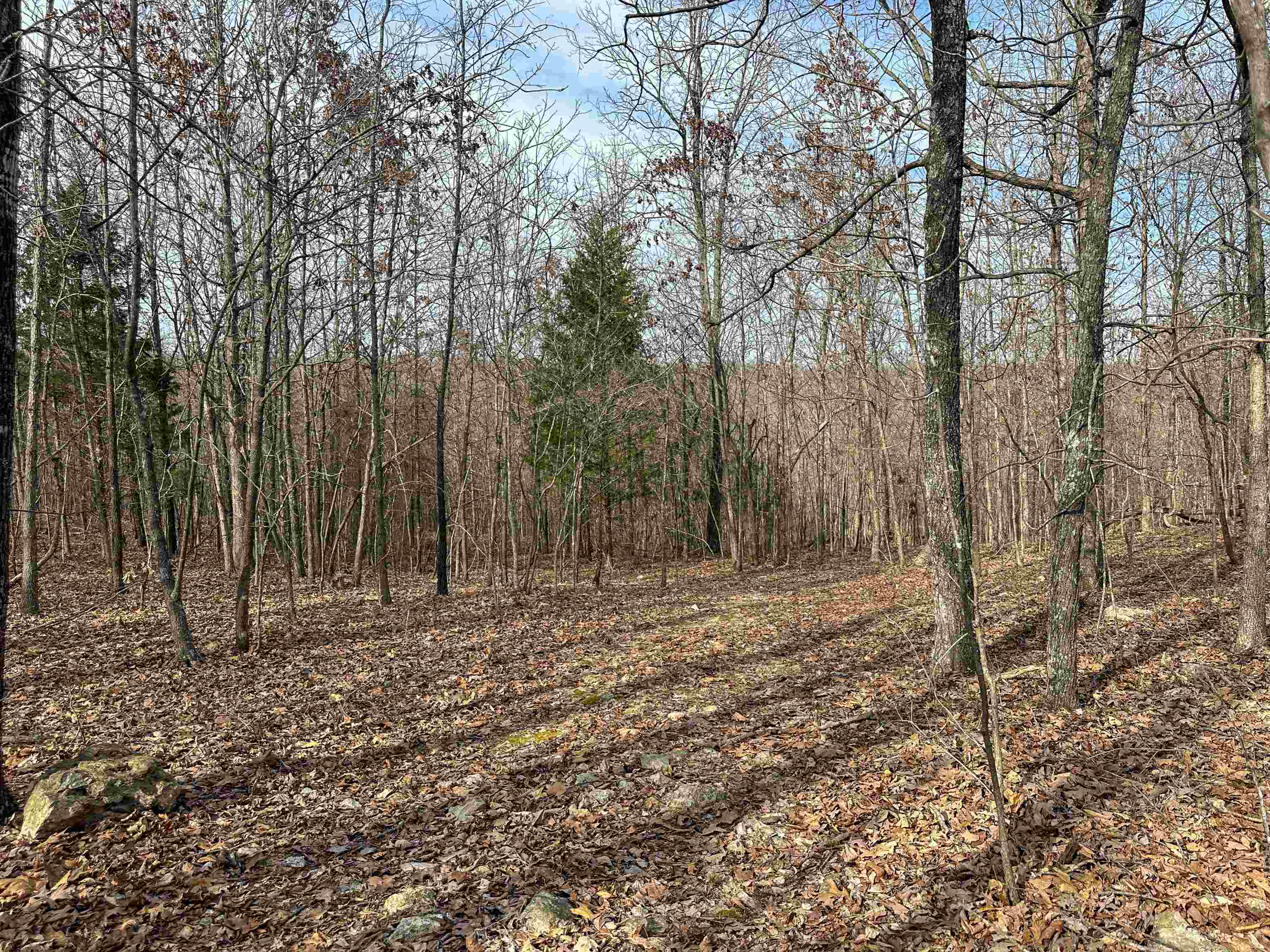 XX N Summit Ridge  Williford, AR