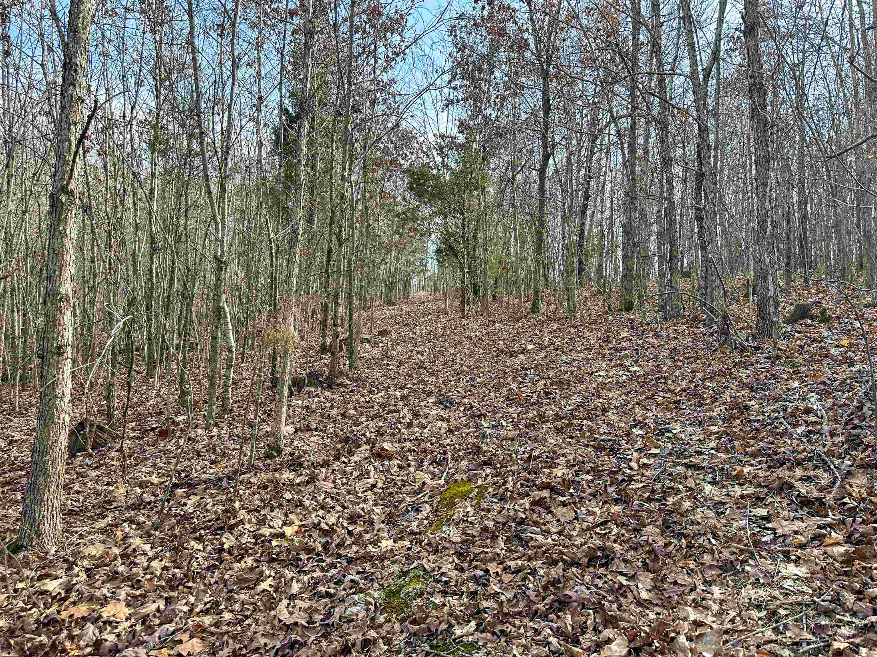 XX N Summit Ridge  Williford, AR