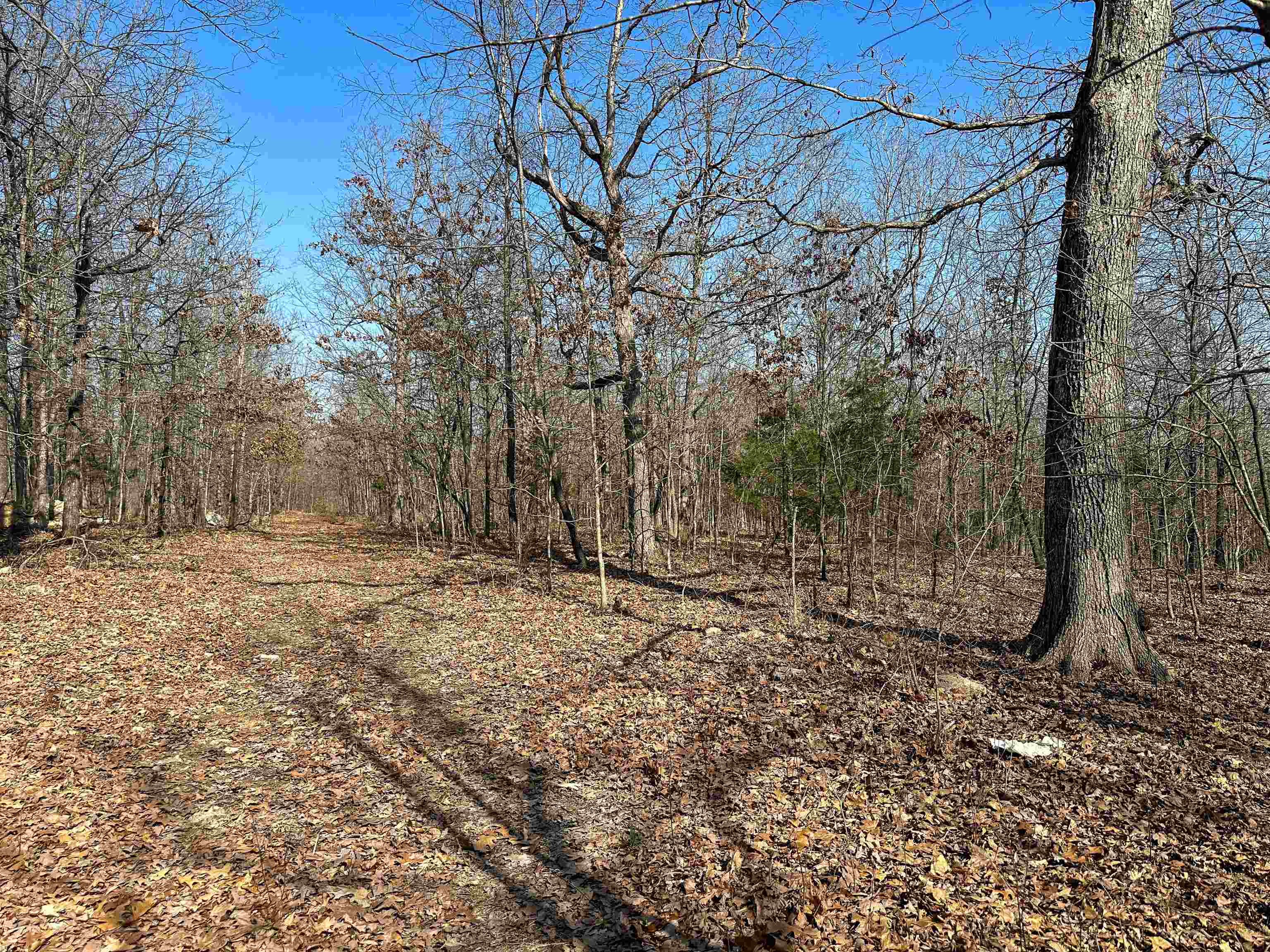 XX N Summit Ridge  Williford, AR