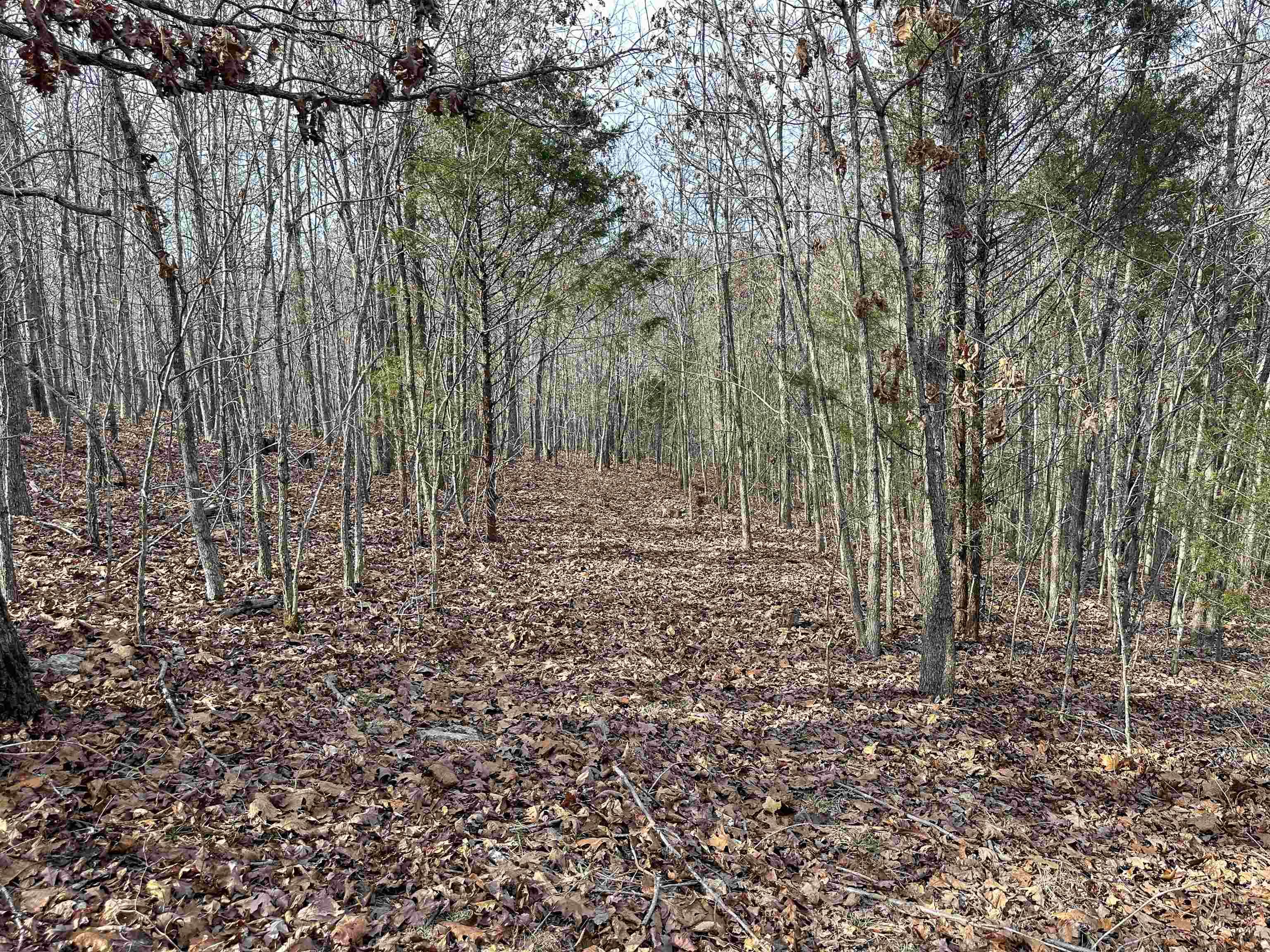 XX N Summit Ridge  Williford, AR