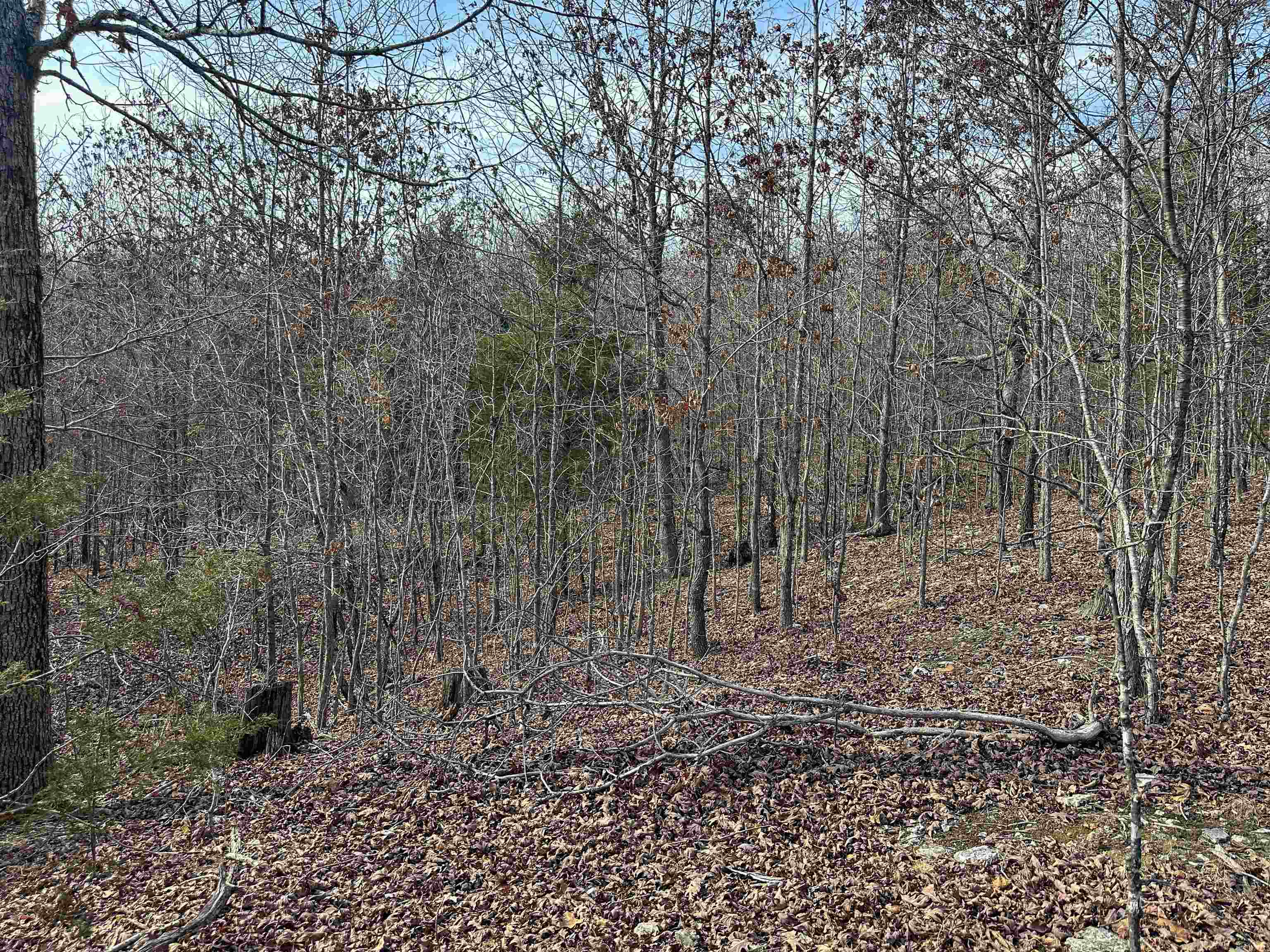 XX N Summit Ridge  Williford, AR