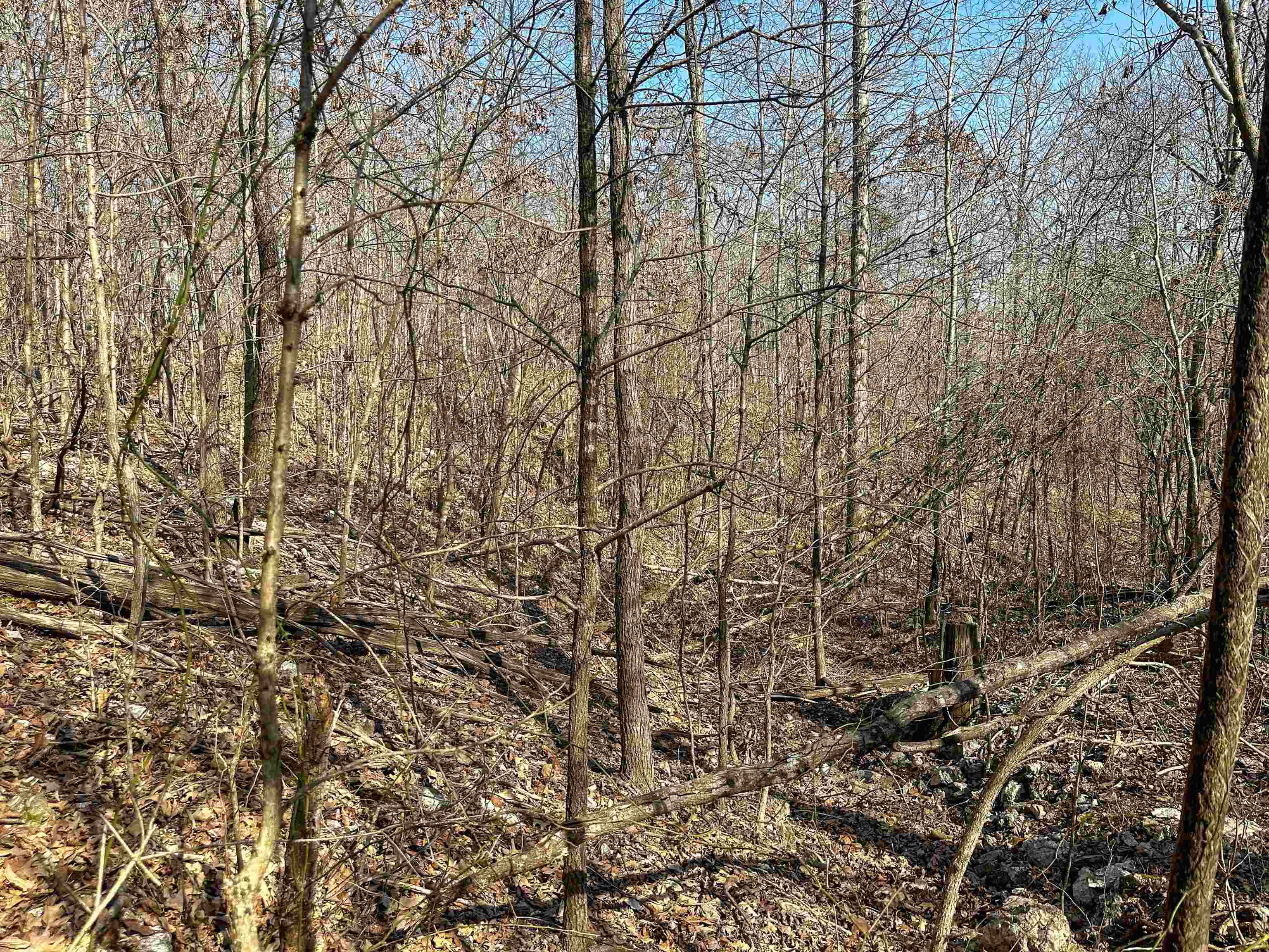 XX N Summit Ridge  Williford, AR