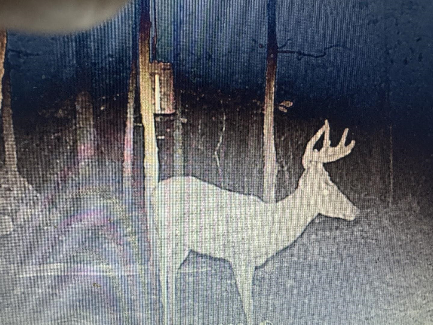XX N Summit Ridge  Williford, AR