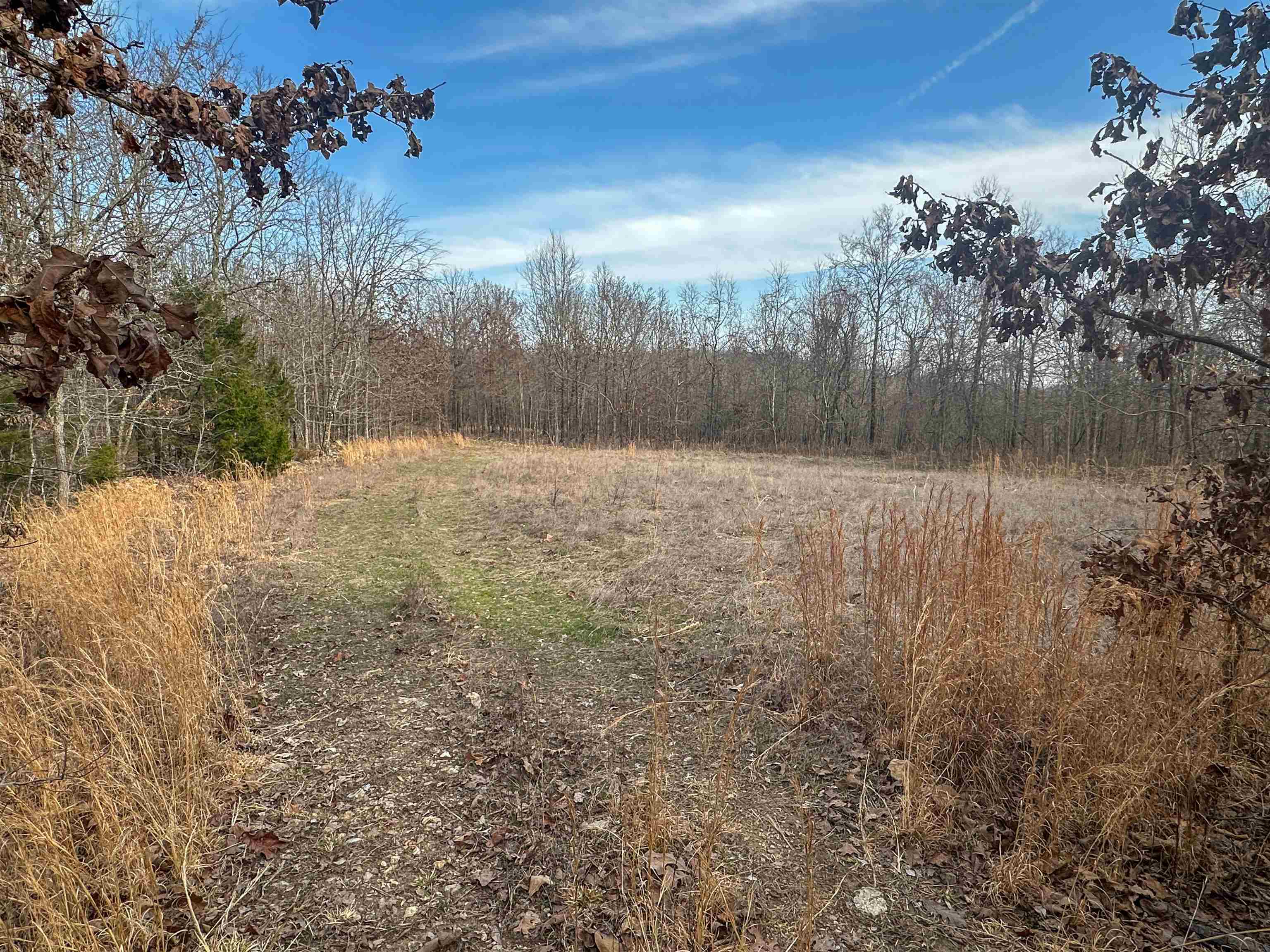 XX N Summit Ridge  Williford, AR
