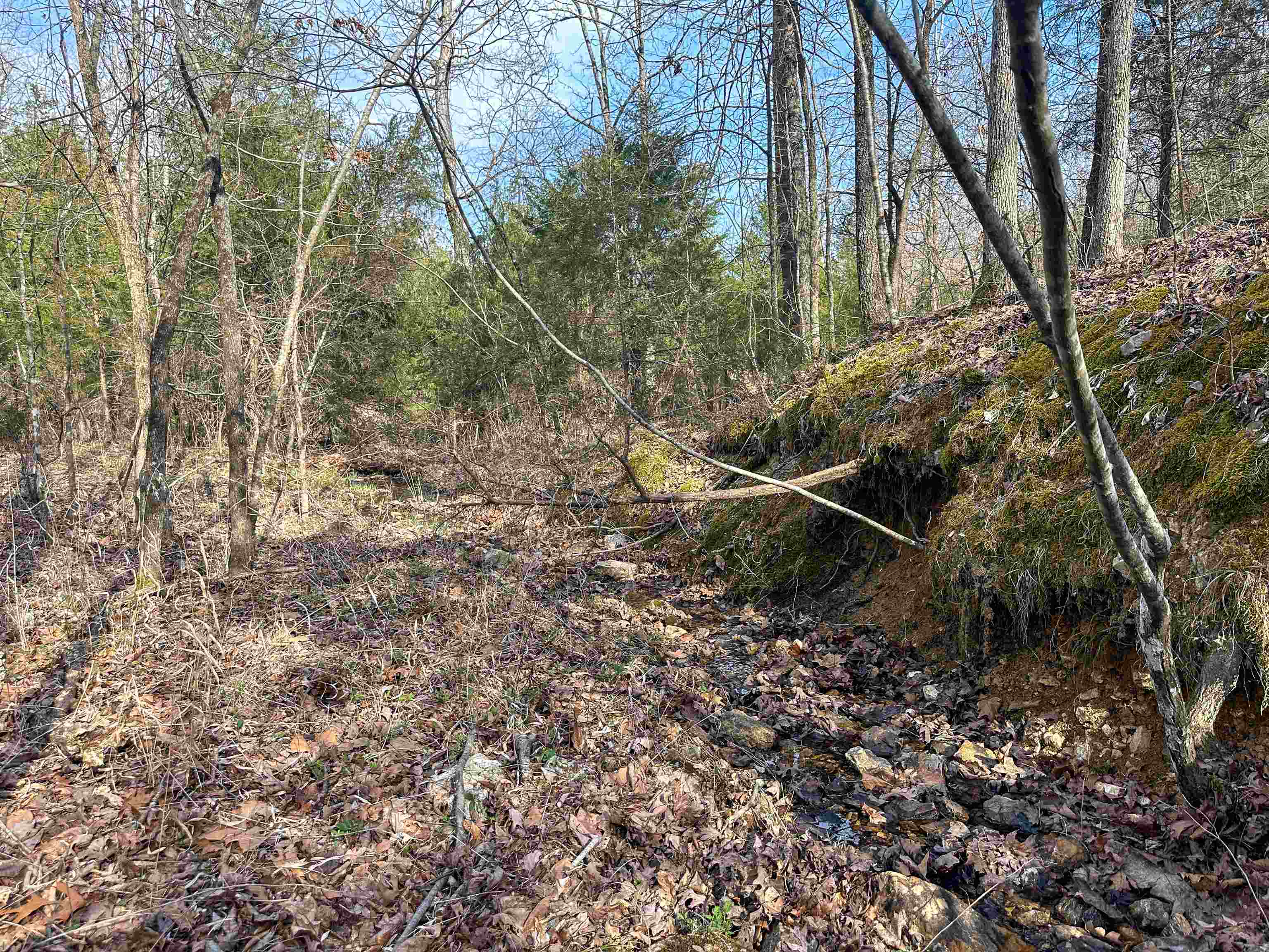 XX N Summit Ridge  Williford, AR