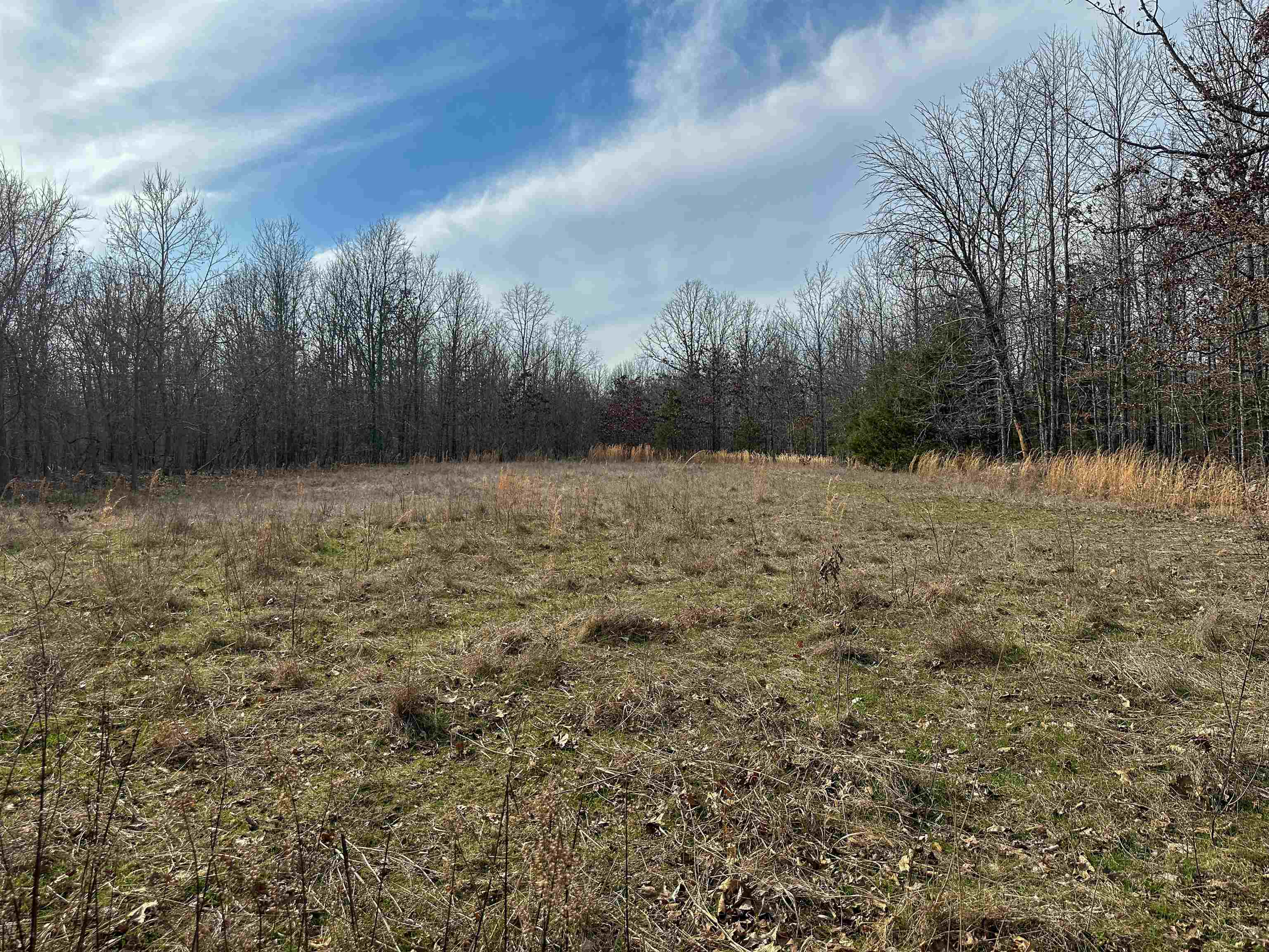 XX N Summit Ridge  Williford, AR