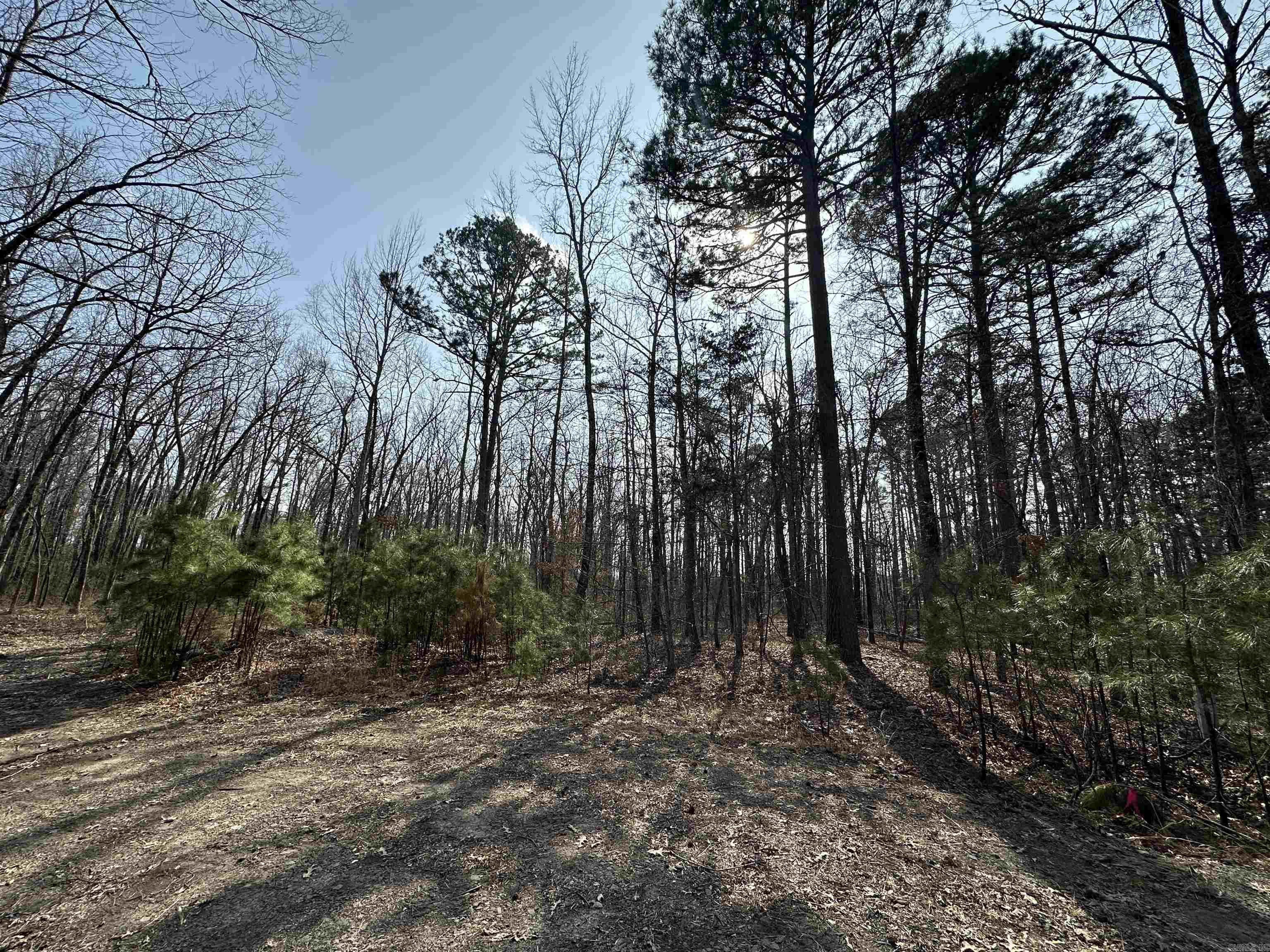 00  Edgemont  Greers Ferry, AR