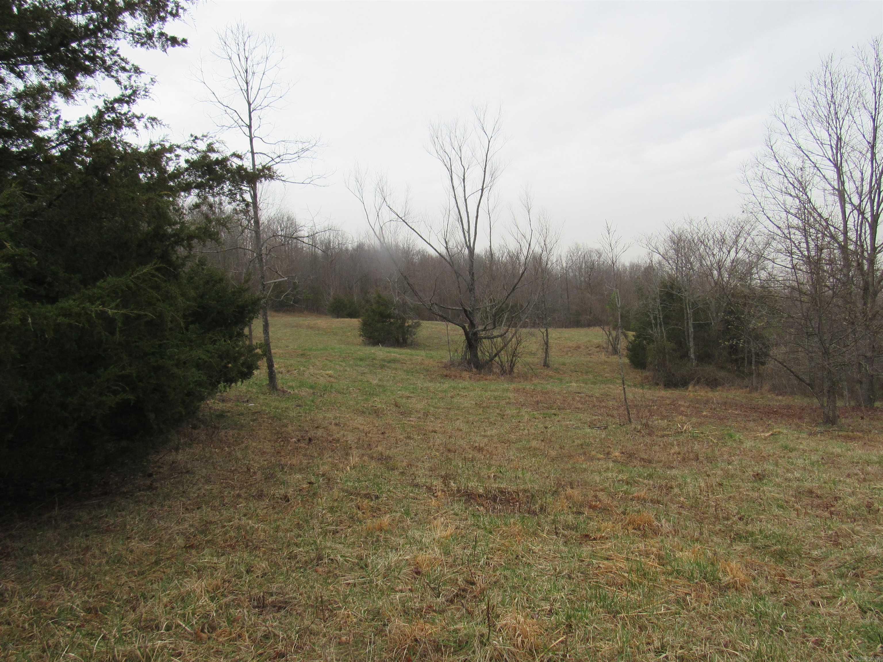 383  Arkansas 123 Lot 7 on Lurton Loop Lurton, AR