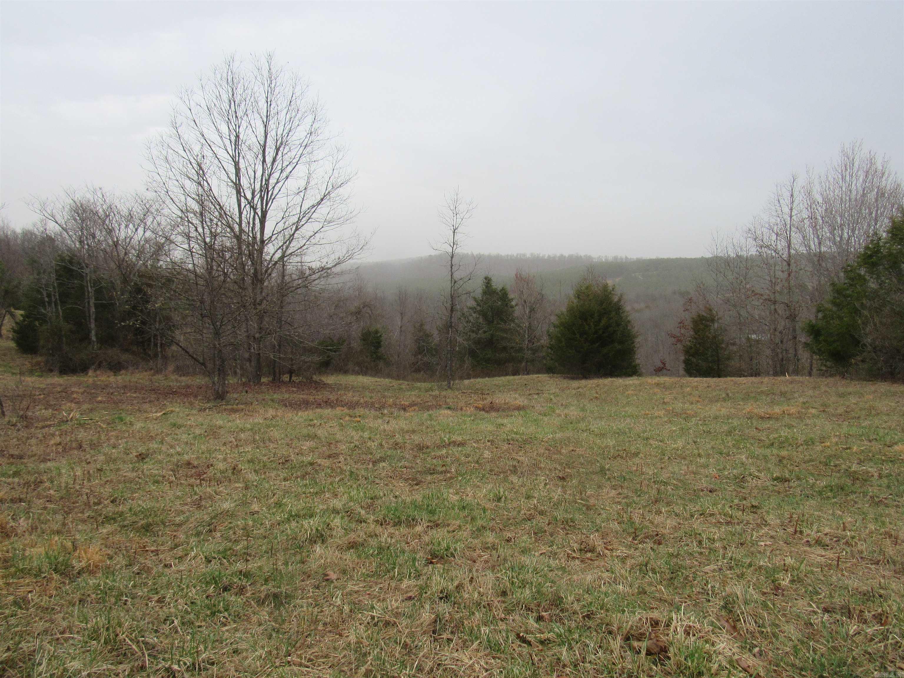 383  Arkansas 123 Lot 7 on Lurton Loop Lurton, AR