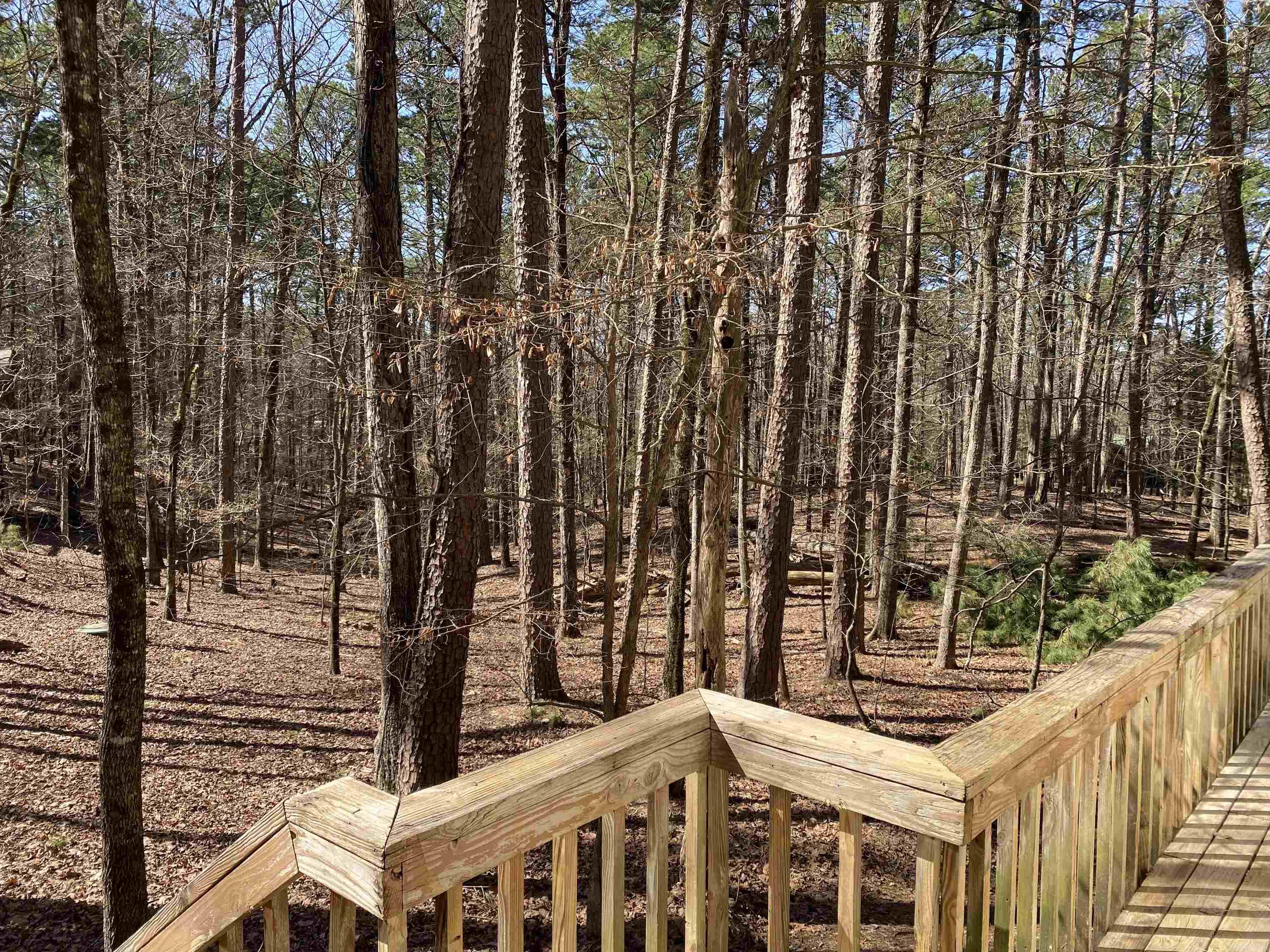 4  Sumac  Mount Ida, AR
