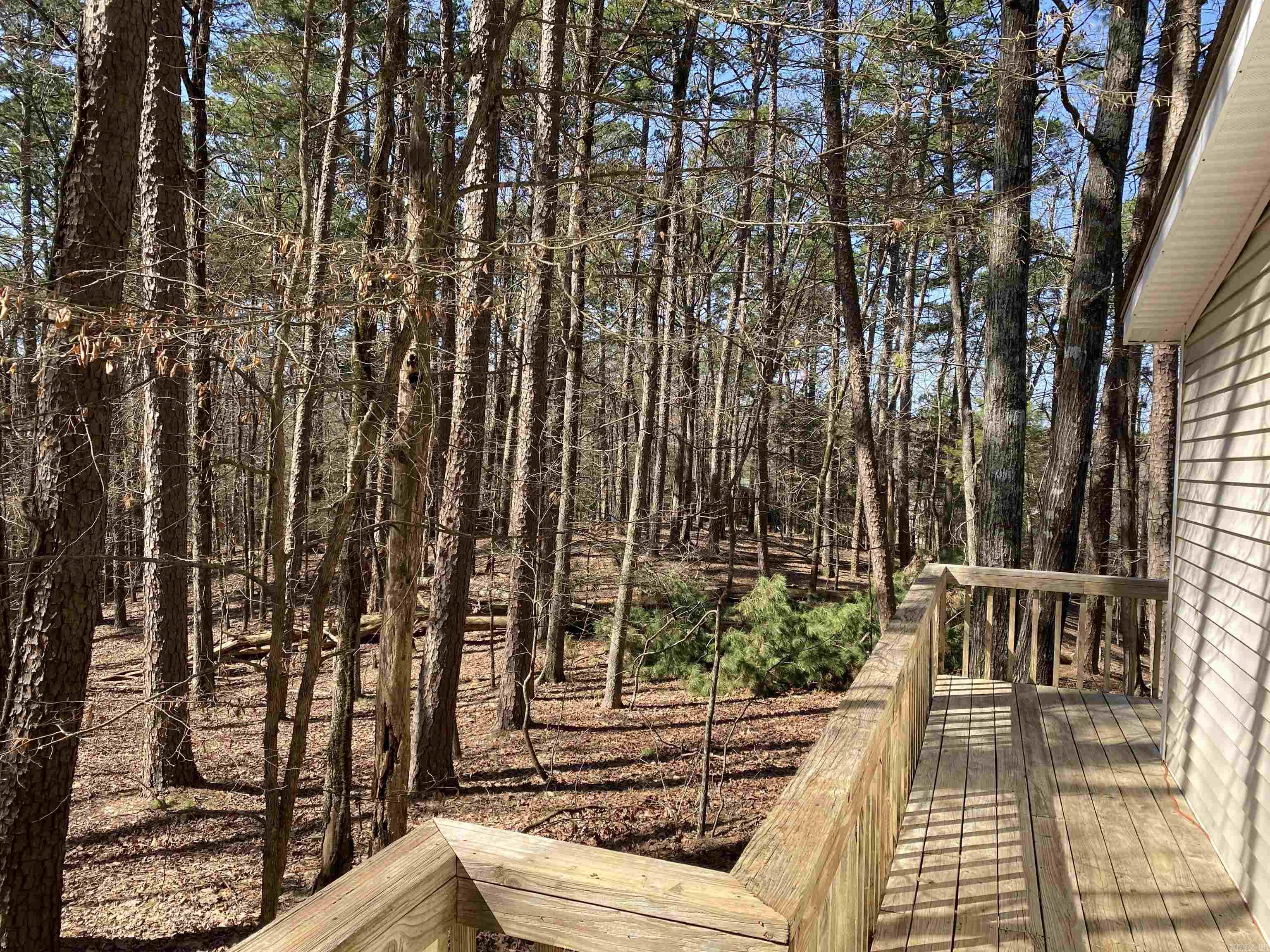 4  Sumac  Mount Ida, AR