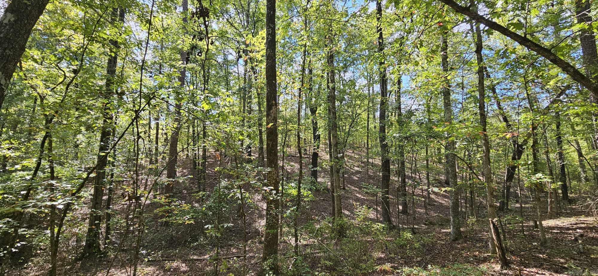 232  Derringer  Hot Springs, AR